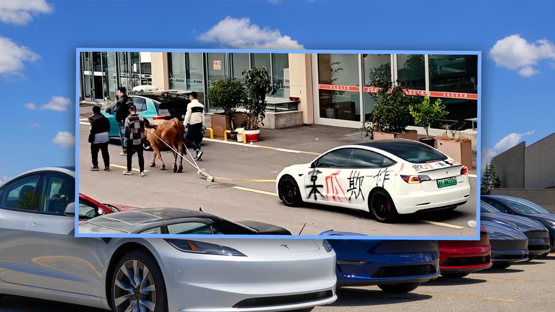 A car buyer in China who bought a used Tesla for US$14,000 then discovered it could not charge has staged an unusual street protest. Photo: SCMP composite/Shutterstock/Douyin