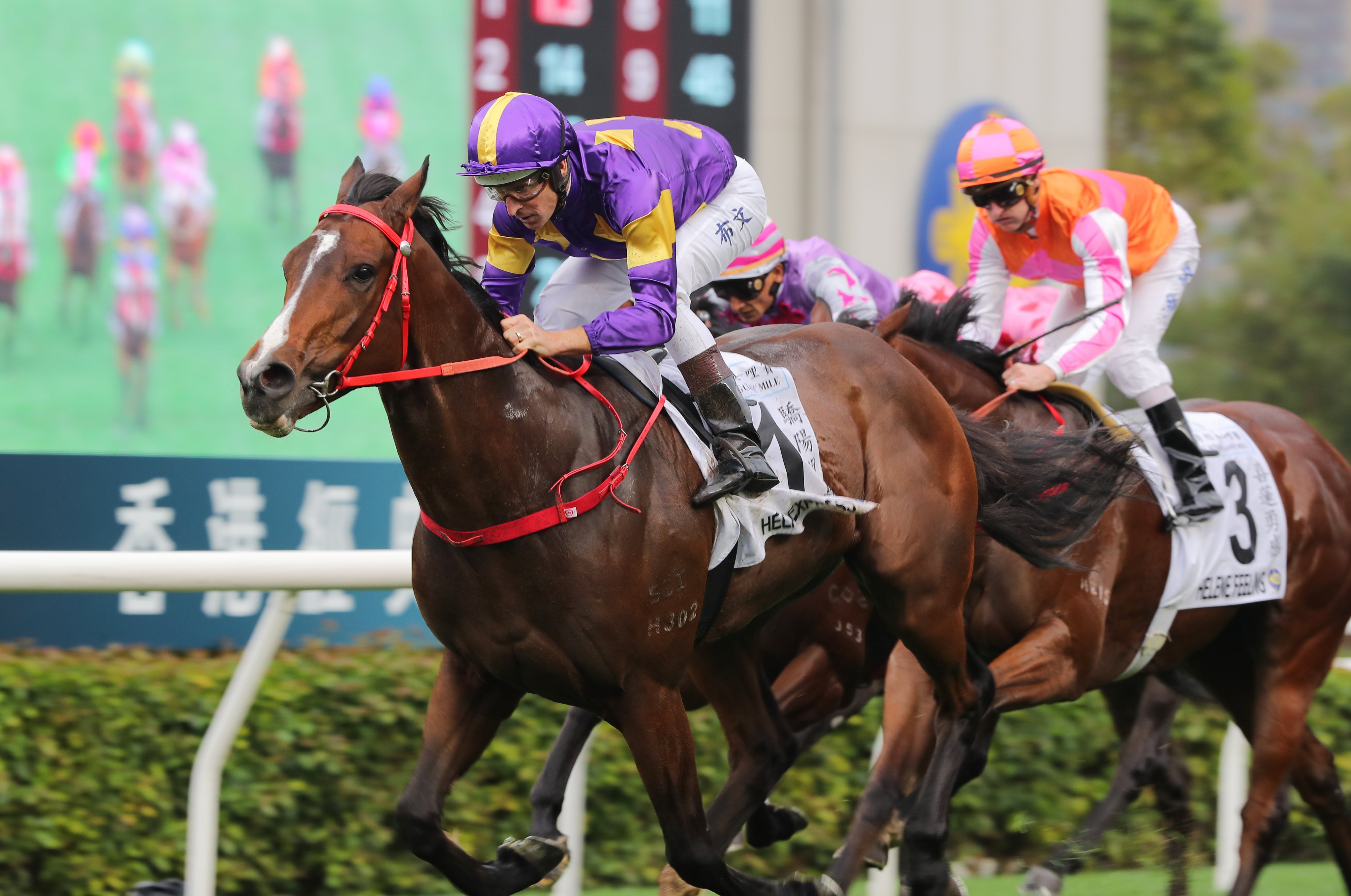 Helios Express, pictured winning the Classic Mile, will be aimed at December’s Hong Kong Sprint. Photos: Kenneth Chan