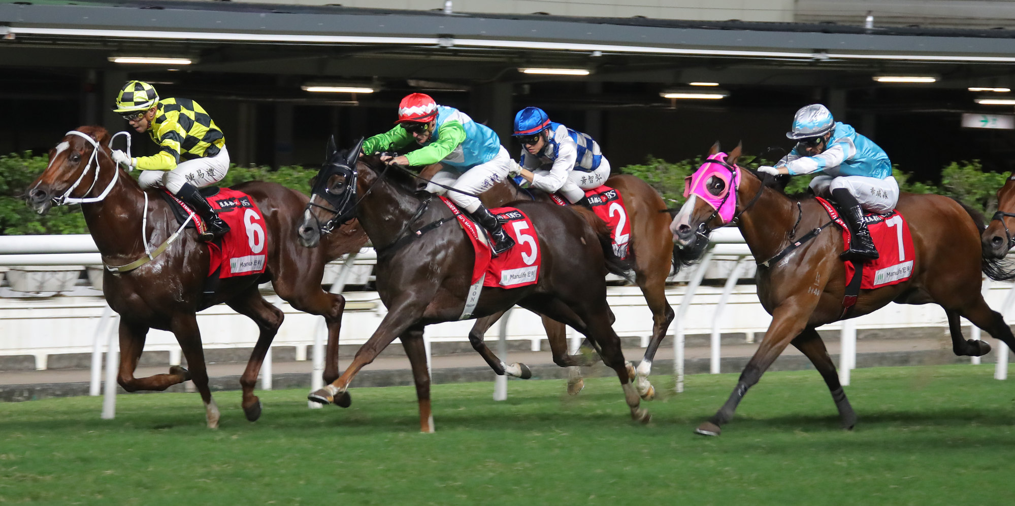 Gustosisimo (inside) runs second to Kyrus Dragon at the Valley.