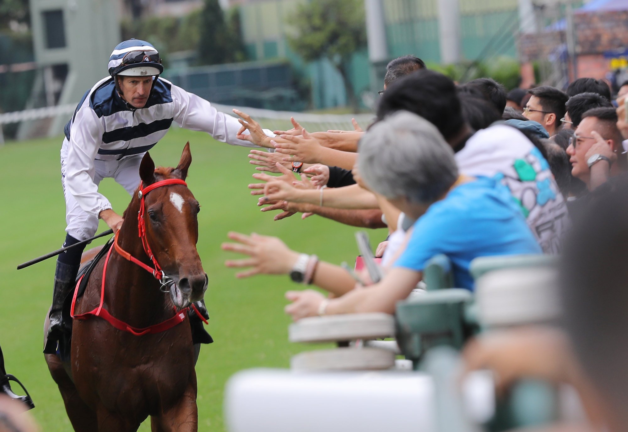 Hugh Bowman high fives fans after a victory on Sunday.