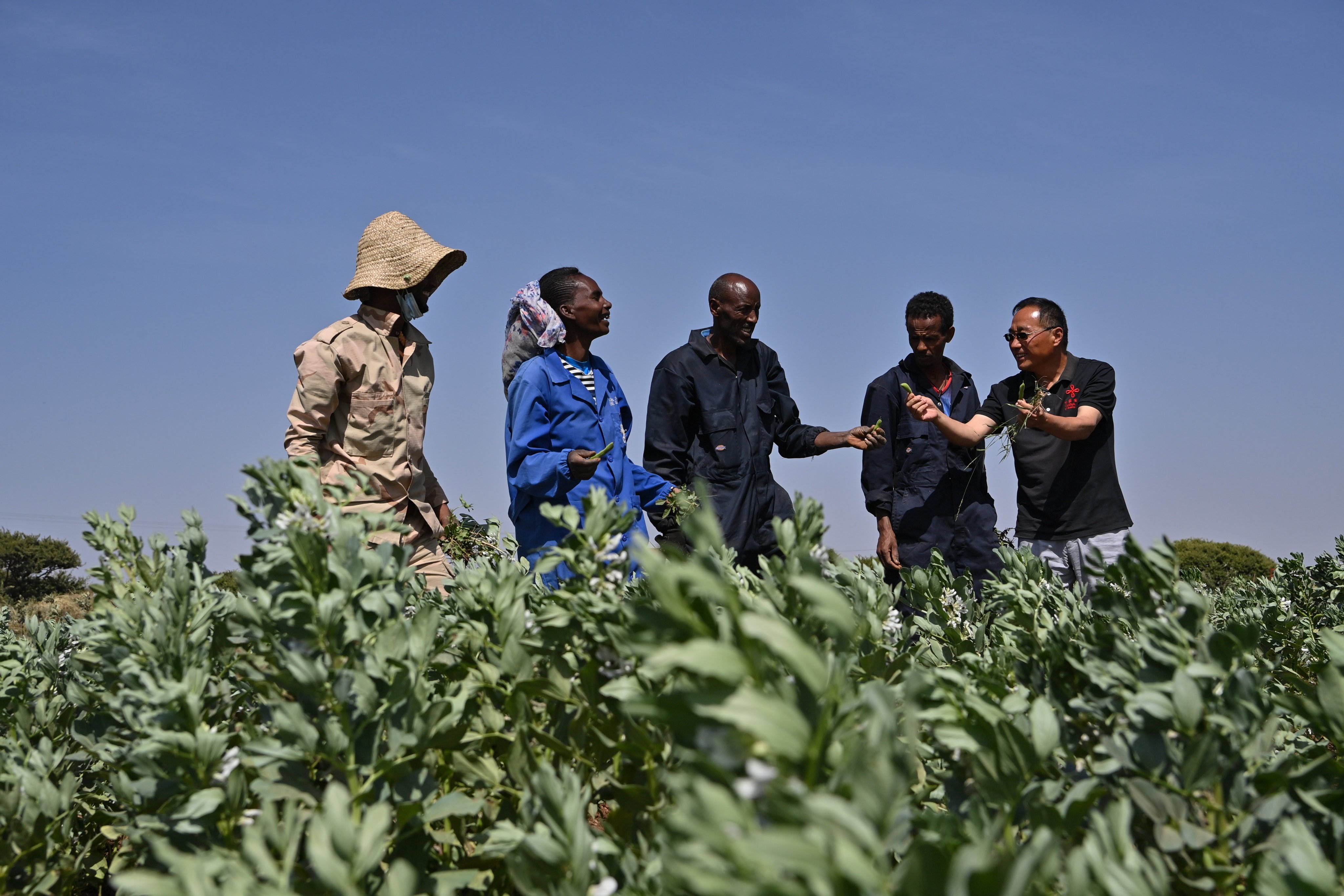 China’s zero-tariff deal with a group of developing countries is likely to cement trade relations and increase its standing, analysts said. Photo: Xinhua