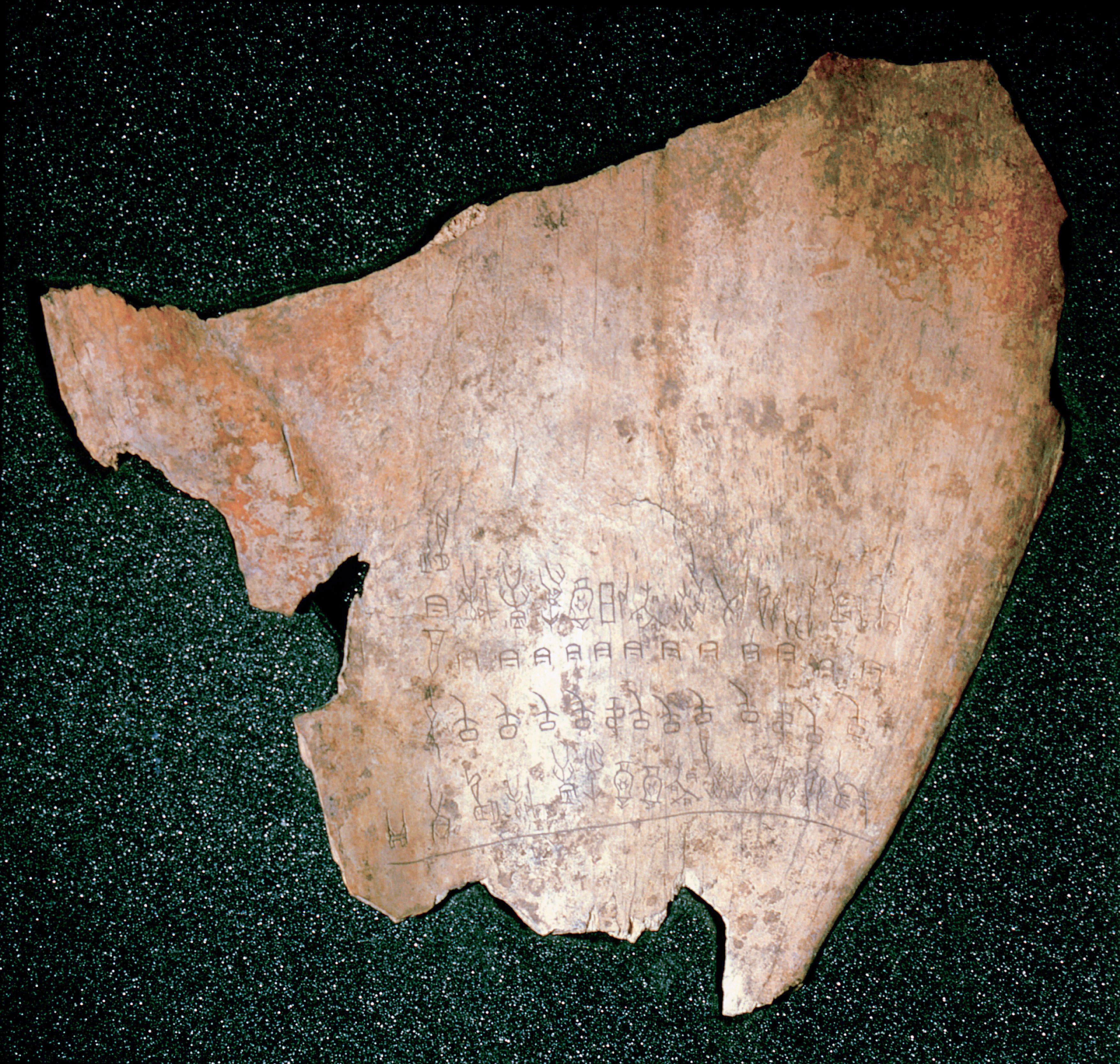 Oracle bone, The engraved characters are the earliest known examples of Chinese script. The bones originally used for divination also provide information about rulers, battles, folk religion and religious rites. China. Chinese. Shang dynasty c 1766 1122 BC. An yang, Honan. (Photo by Werner Forman/Universal Images Group/Getty Images)  Photo: Getty Images