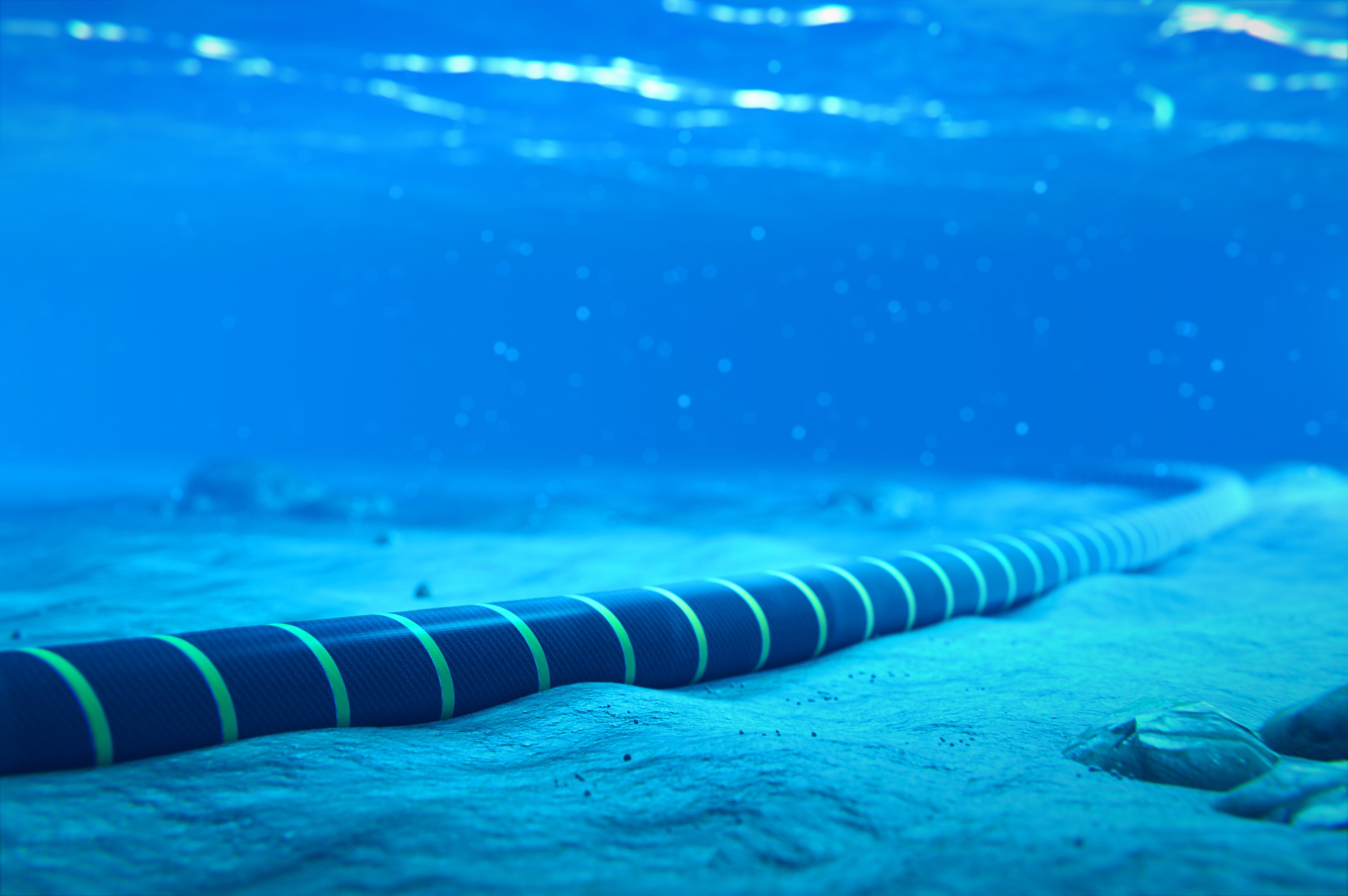 A partially buried undersea cable. Image: Shutterstock