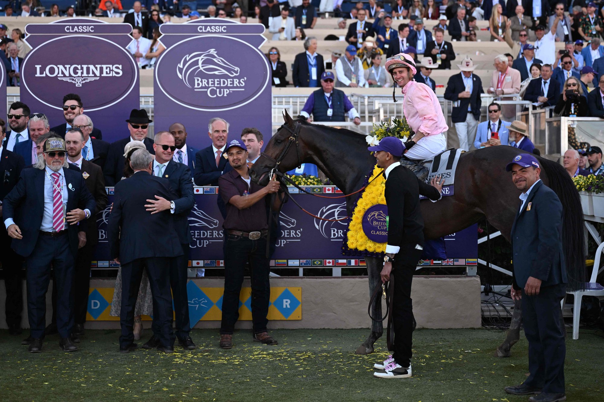 Sierra Leone, ridden by Flavien Prat, poses for a photograph after winning the Breeders Cup Classic. Photo: AFP