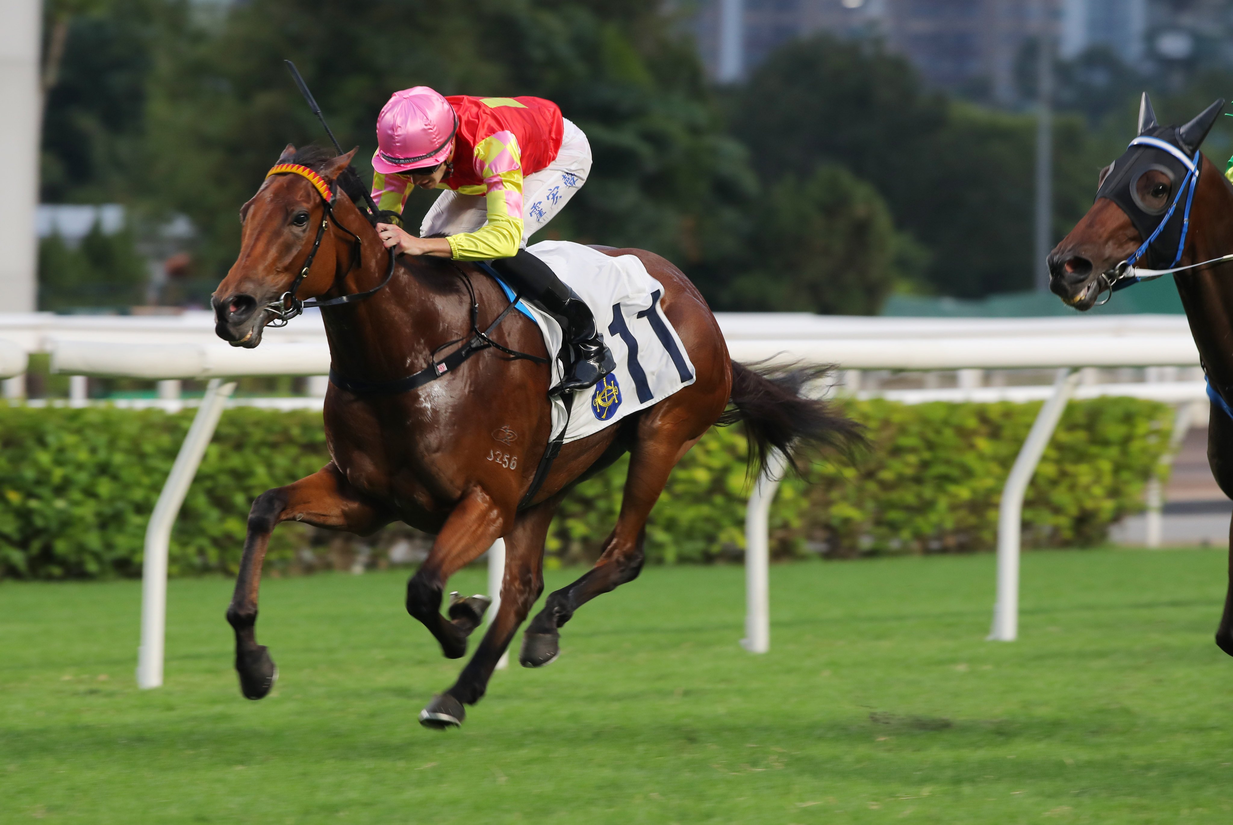 Luke Ferraris guides My Wish to an impressive win at Sha Tin. Photos: Kenneth Chan