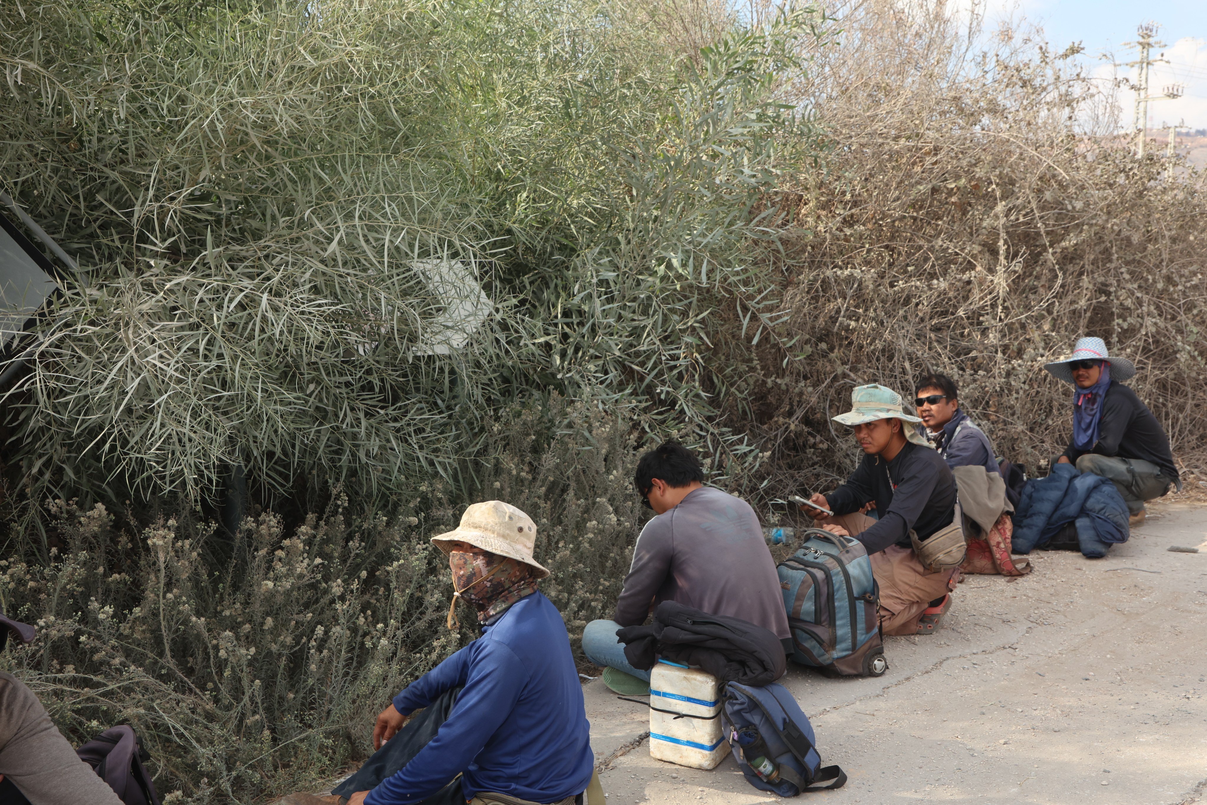 Agriculture workers are seen near the town of Metula, northern Israel, on October 31. Photo: Xinhua