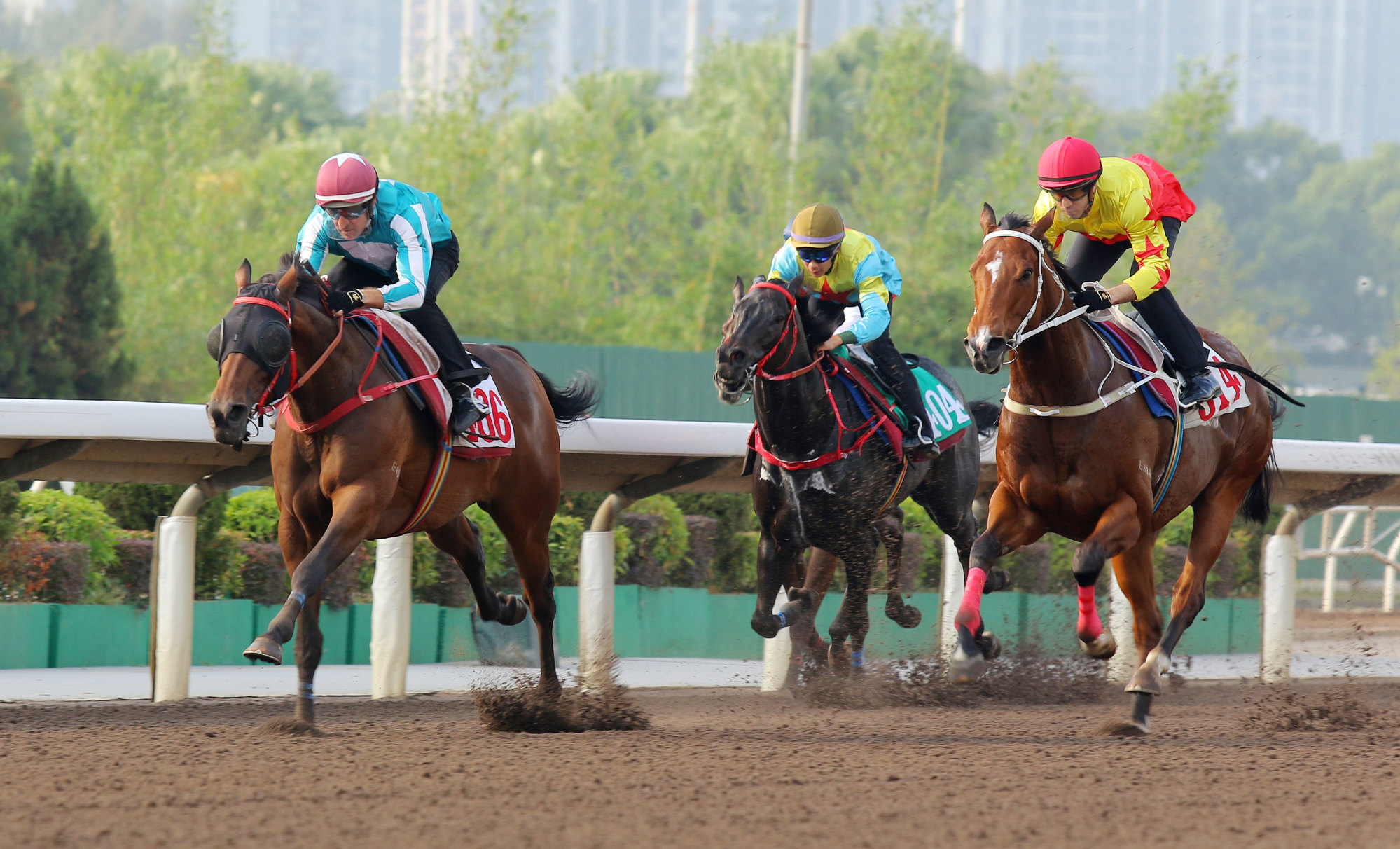 Romantic Warrior (left) leads home California Spangle (right) and Victor The Winner on the dirt on Monday.