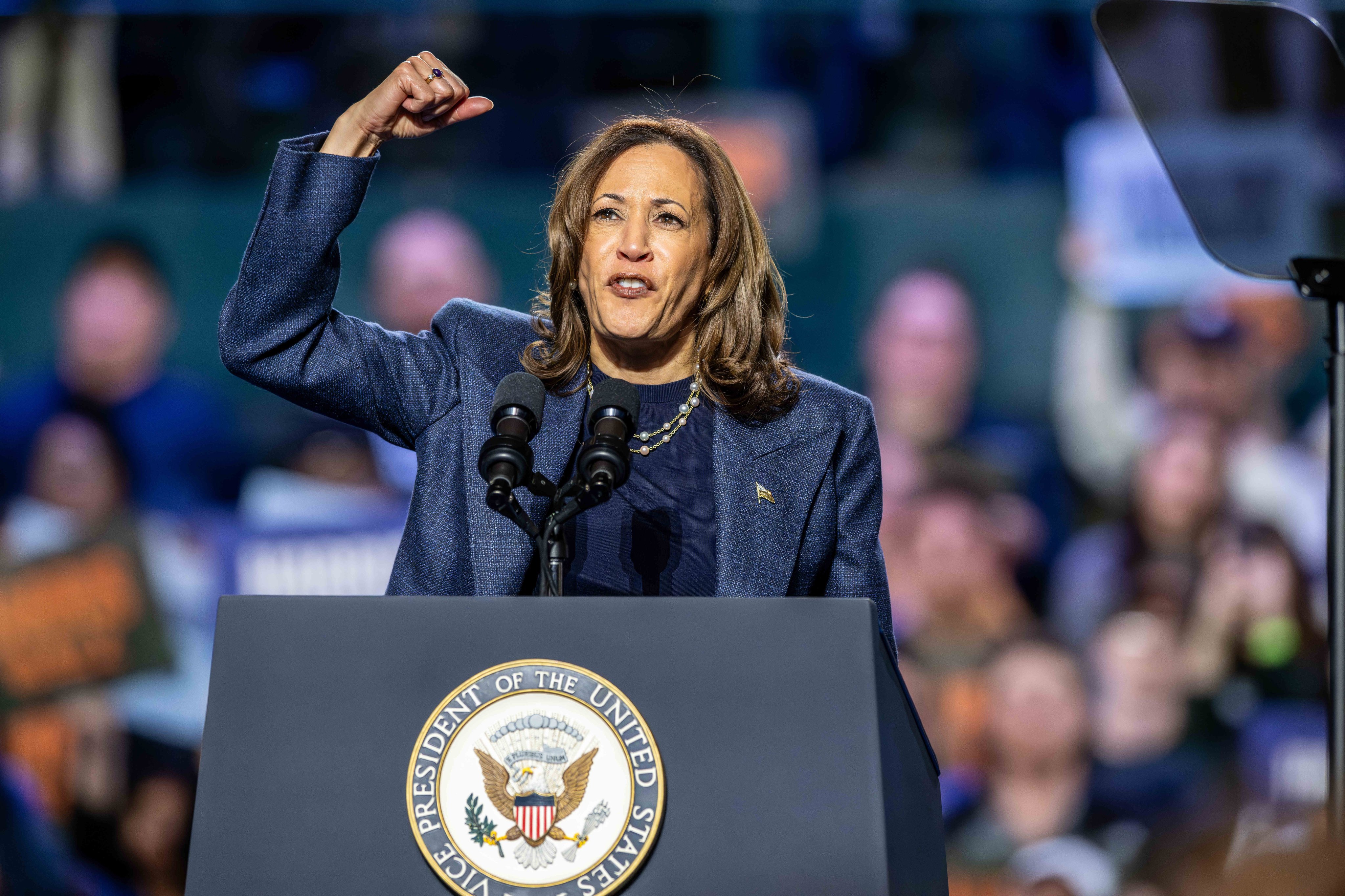 US Vice President and Democratic Presidential candidate Kamala Harris speaks at a campaign rally in Michigan on Sunday. Photo: via dpa