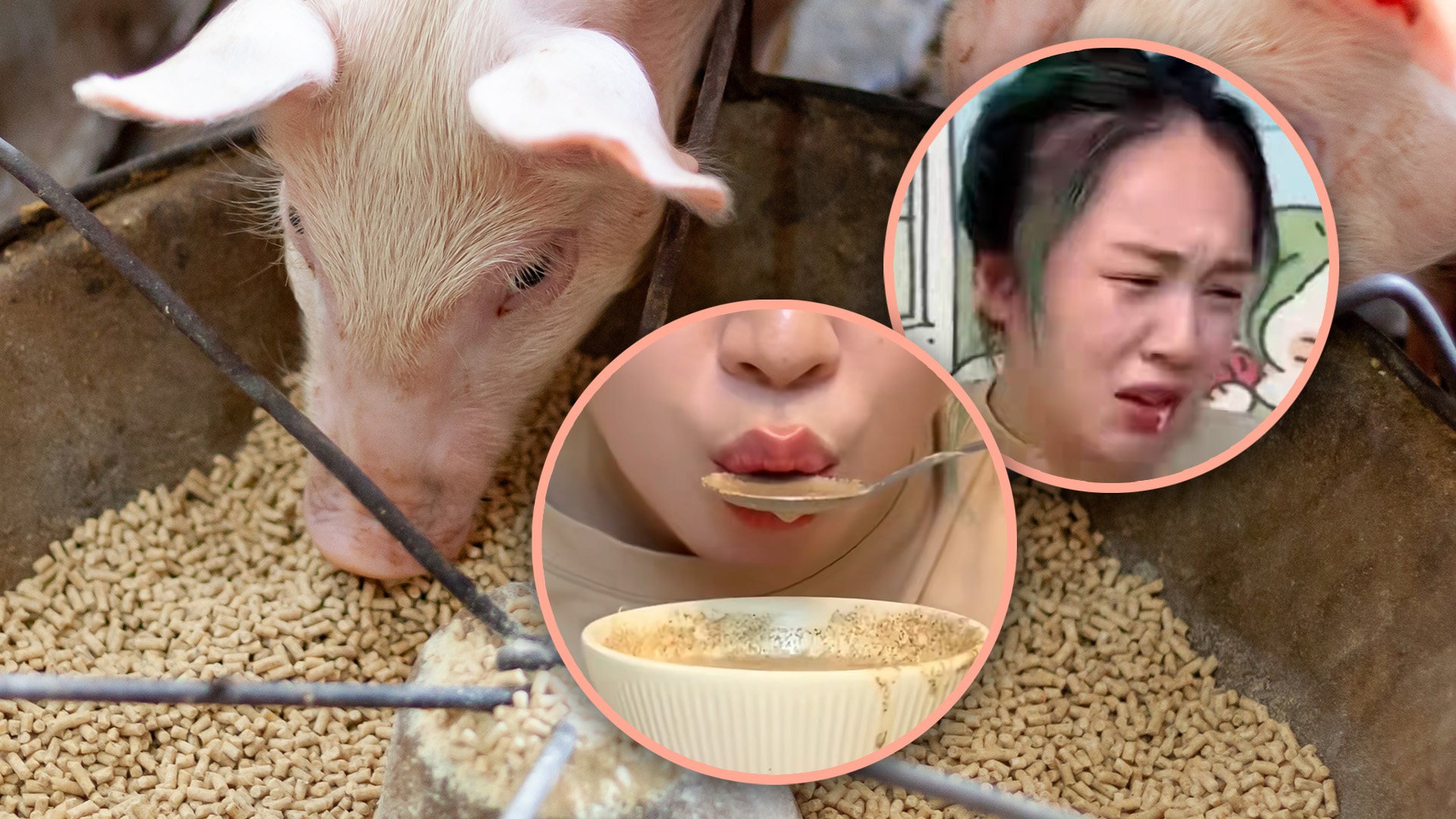 Critics warned that the KOL’s pig-feed-diet stunt may negatively impact her audience, especially if a child tries to imitate her actions. Photo: SCMP composite/Shutterstock/Douyin