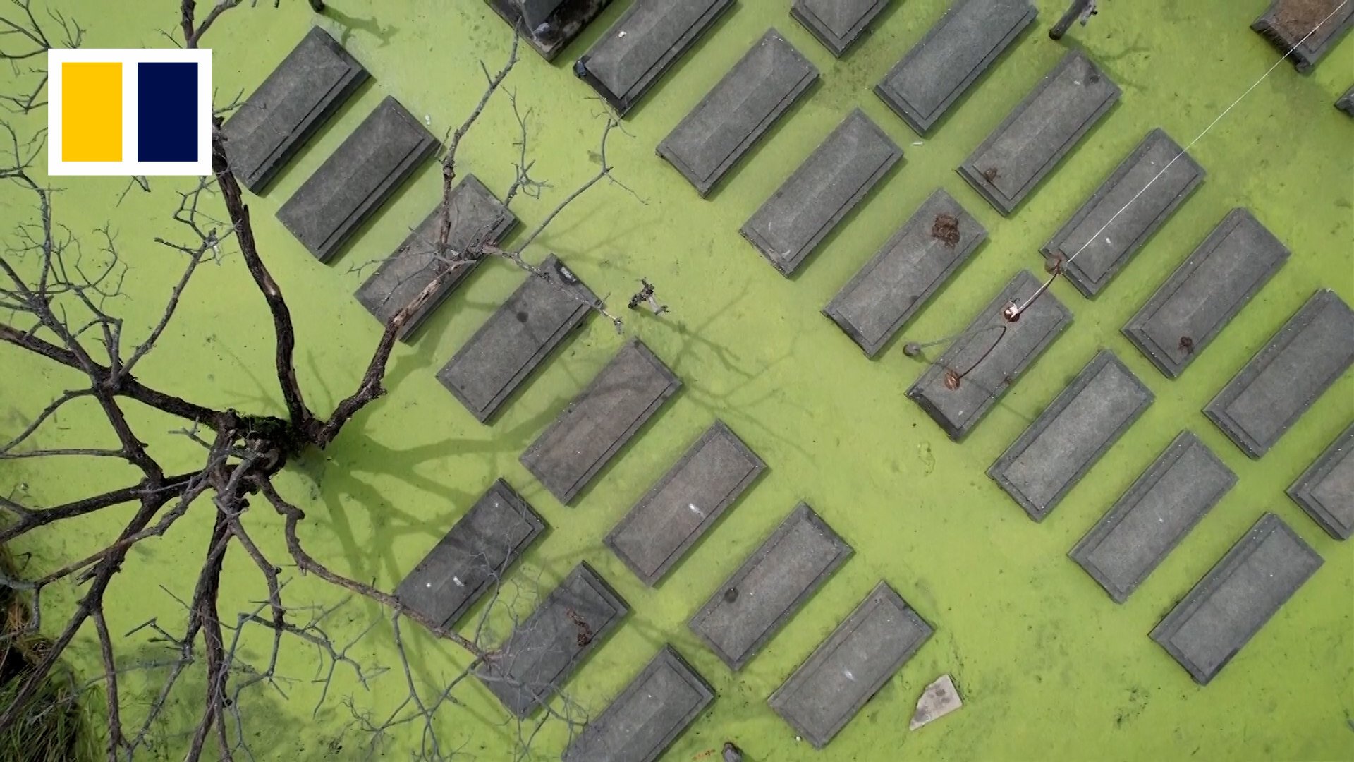 Tropical Storm Trami leaves tombs submerged in the Philippines