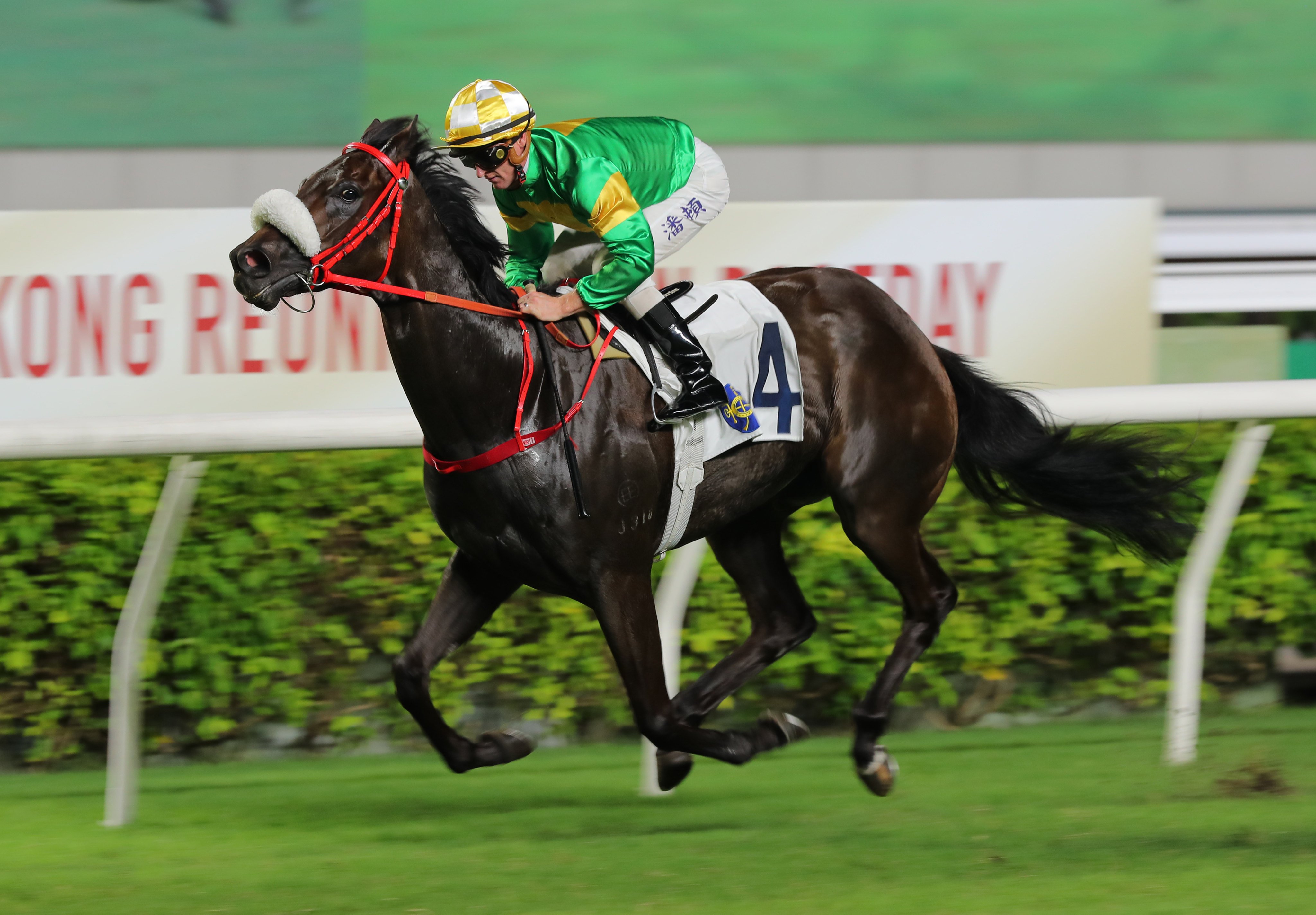 Bottomuptogether rises to 1,400m for the first time in Saturday’s Panasonic Cup. Photo: Kenneth Chan