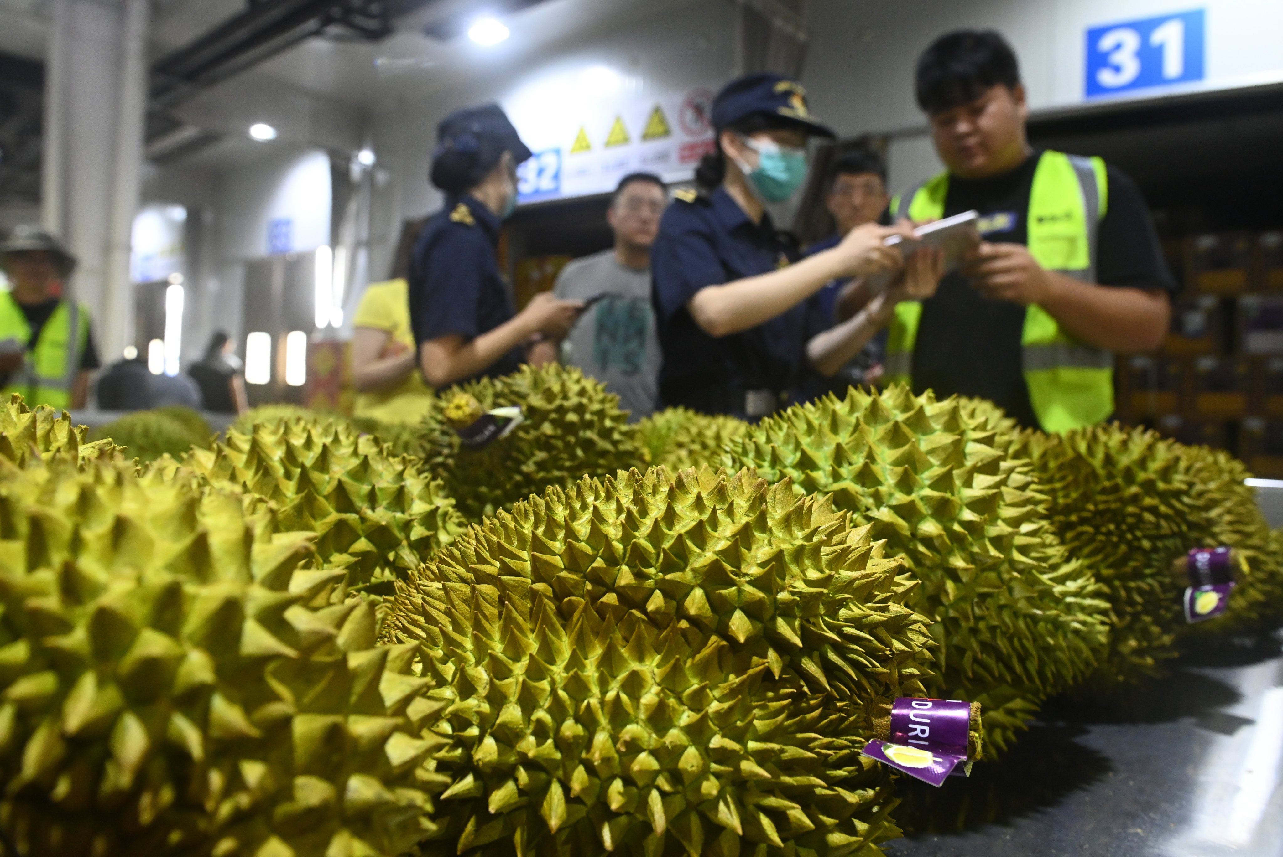 Customs officers check imported durians at Youyiguan Port in Pingxiang, Guangxi Zhuang autonomous region, in August. Photo: Xinhua