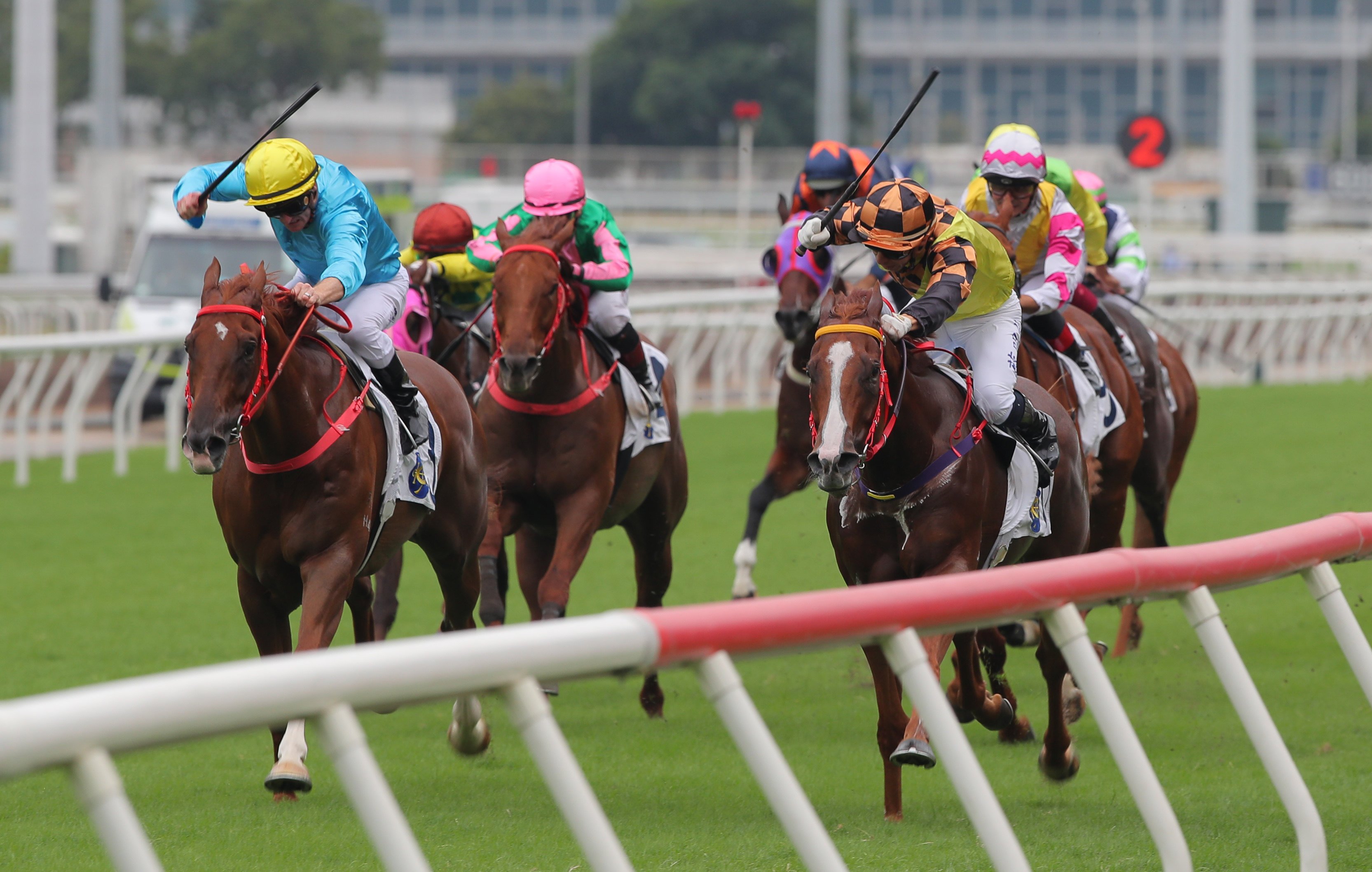 Magic Control (right) narrowly denies Wunderbar (left) at Sha Tim. Photos: Kenneth Chan