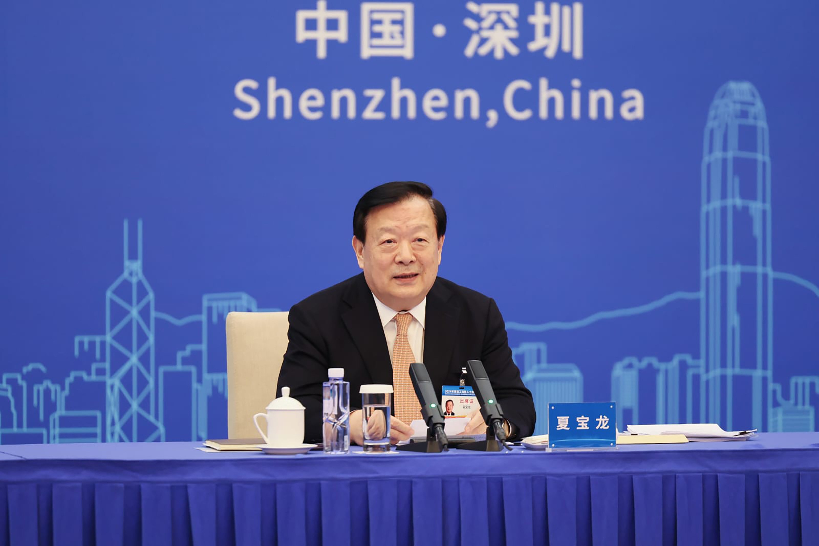 Xia Baolong, director of the Hong Kong and Macau Affairs Office, at the meeting in Shenzhen on Friday. Photo: Handout 