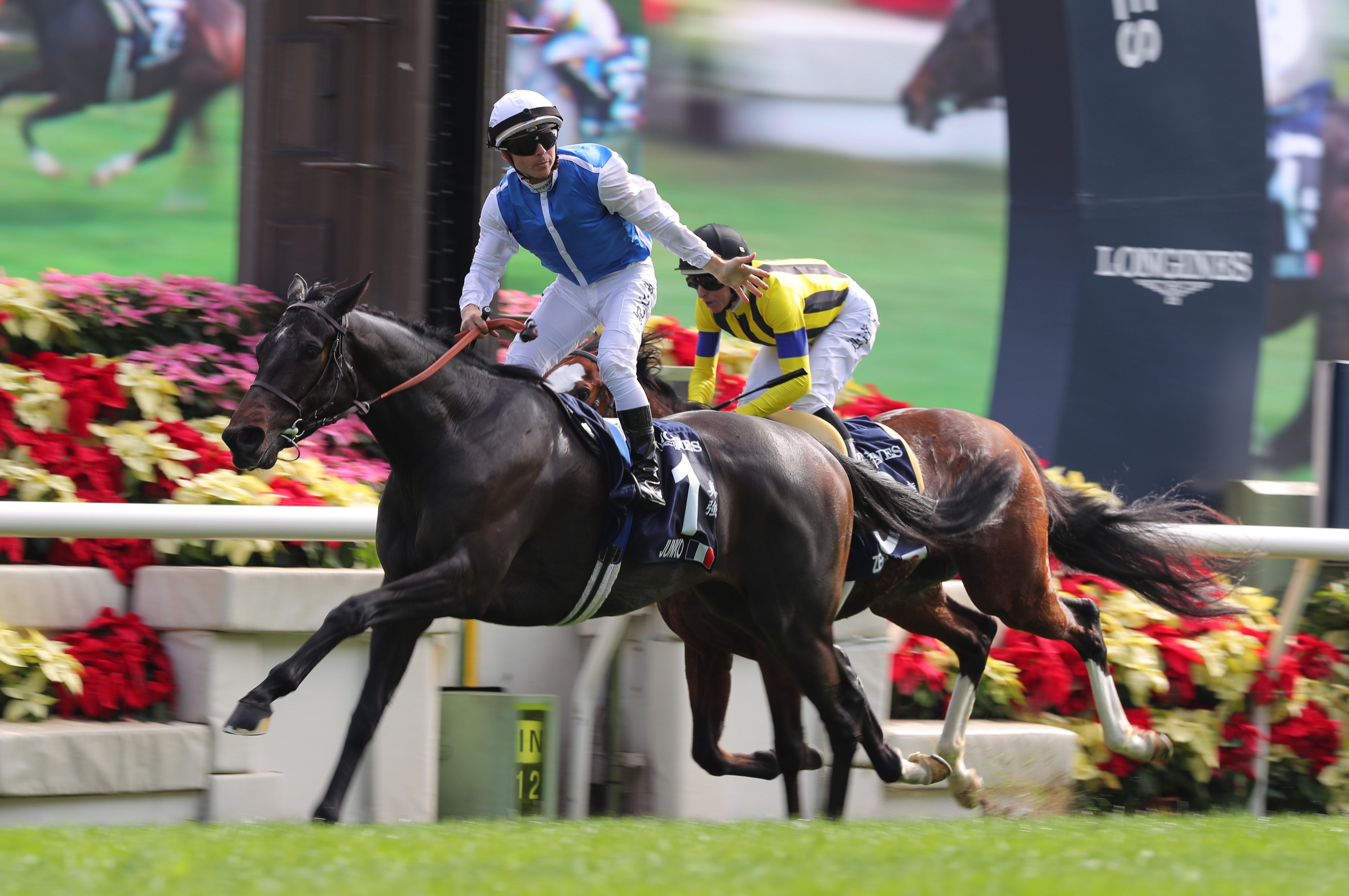 Junko wins last year’s Group One Hong Kong Vase (2,400m) under Maxime Guyon. Photo: Kenneth Chan