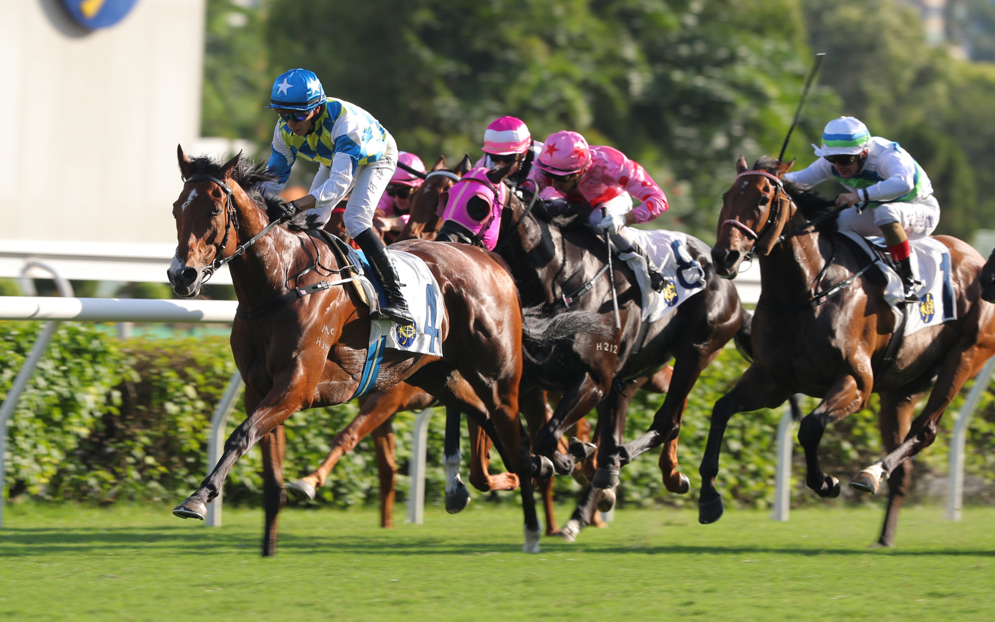 Galaxy Patch (left) wins the Group Two Sha Tin Trophy, with Voyage Bubble (right) staying on for second. Galaxy Patch (left) wins the Group Two Sha Tin Trophy, with Voyage Bubble (right) staying on for second.