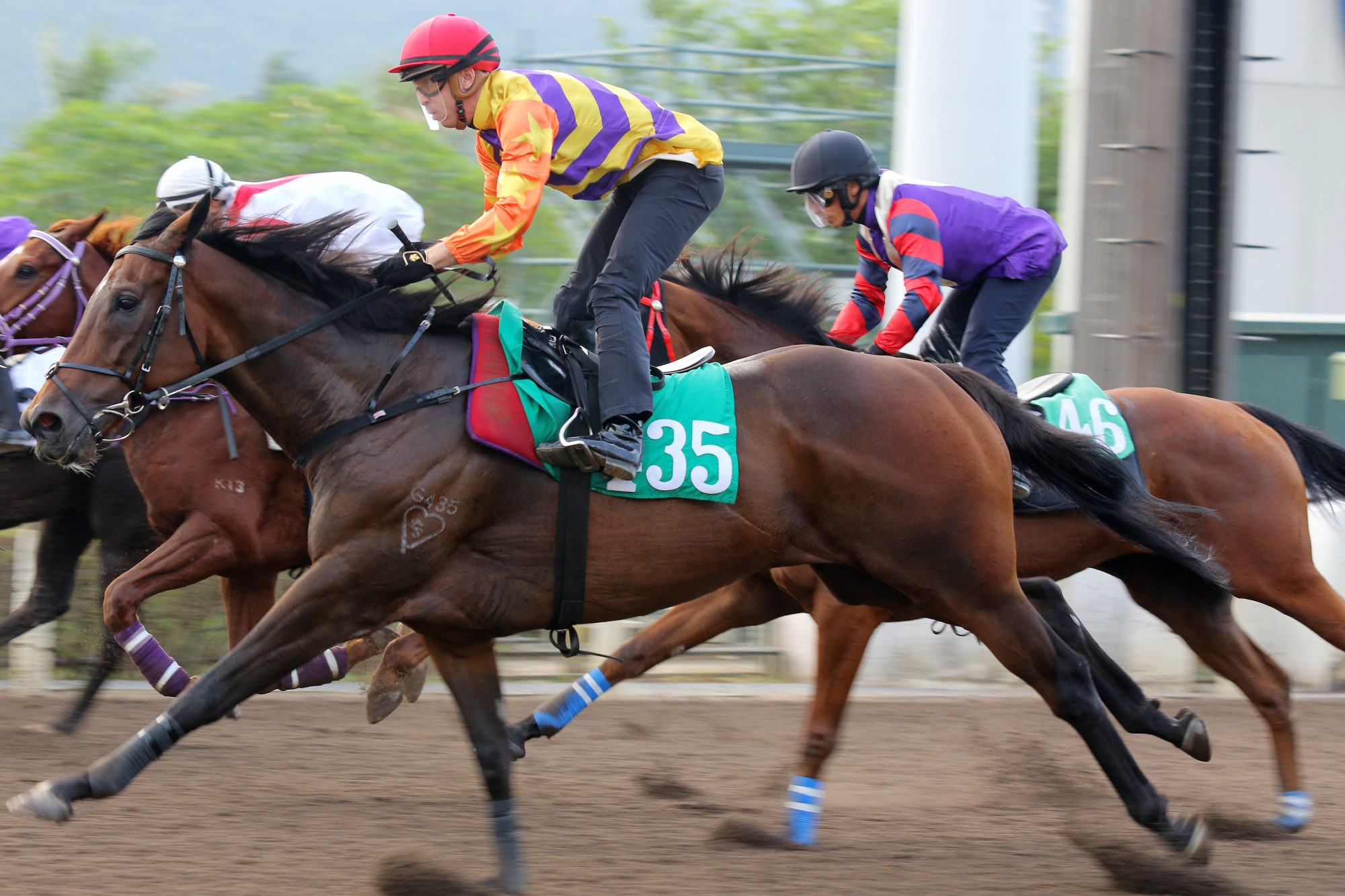 Straight Arron trials on the Sha Tin dirt under Brenton Avdulla. Straight Arron trials on the Sha Tin dirt under Brenton Avdulla.