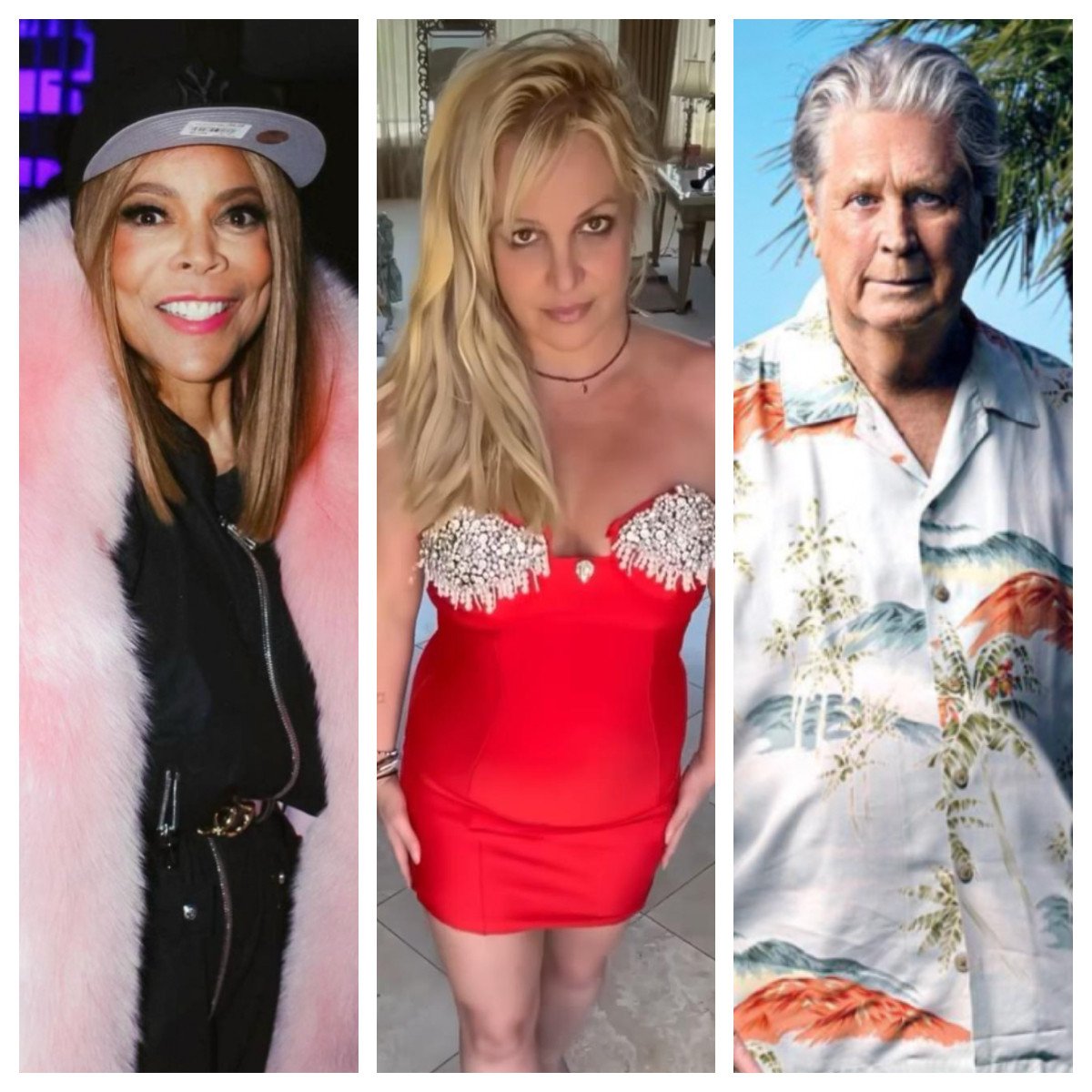 Wendy Williams and The Beach Boys’ Brian Wilson are currently under conservatorships, while Britney Spears gained her freedom from a similar arrangement in November 2021. Photos: @thewendyexperiencepodcast, @britneyspears, @rollyingstone/Instagram