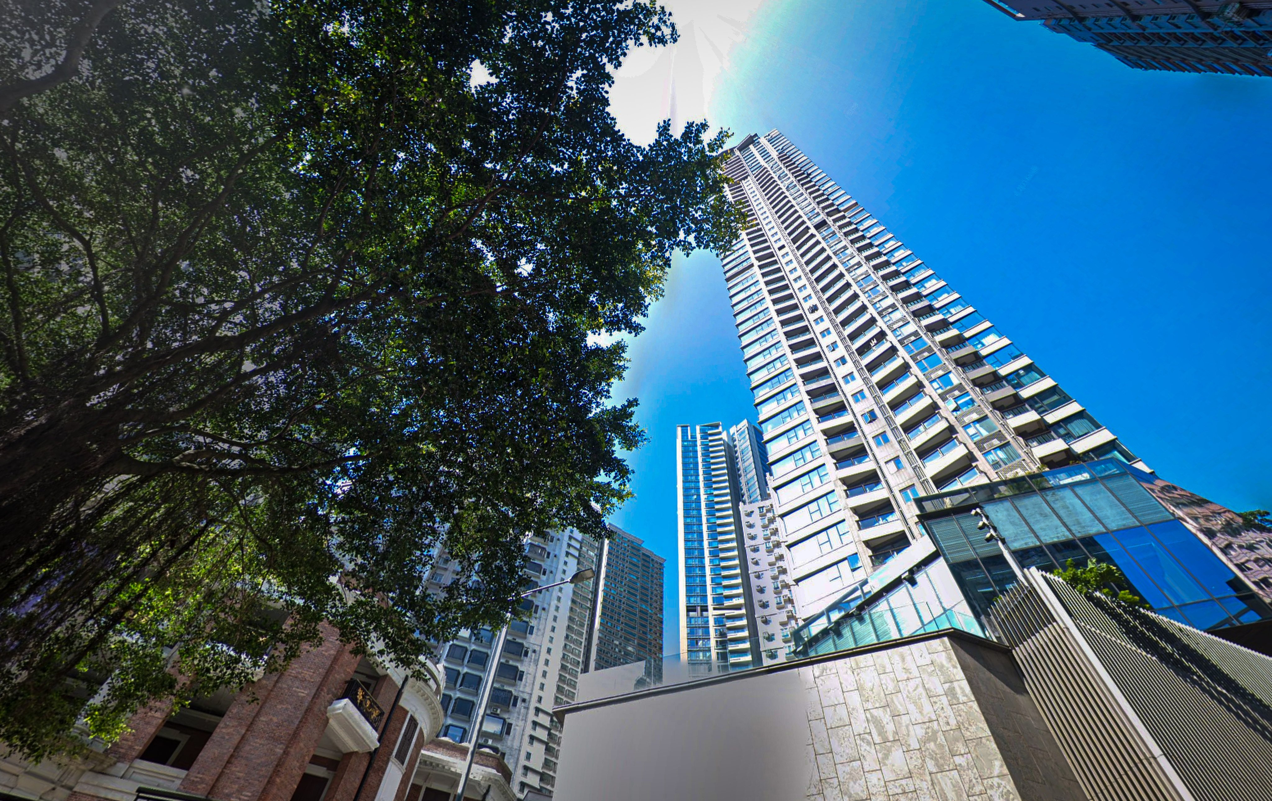 The Alassio development on Caine Road in Mid-Levels. Photo: Google Maps