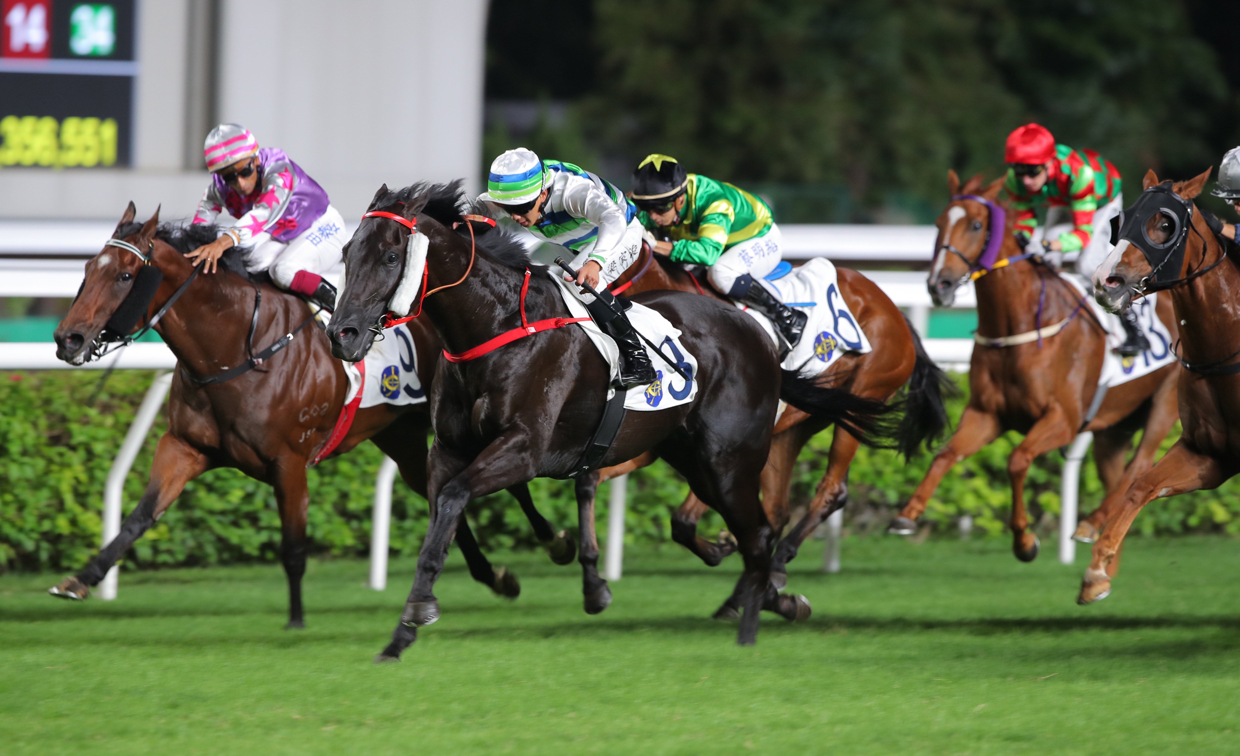 At Sha Tin. Photo: Kenneth Chan.