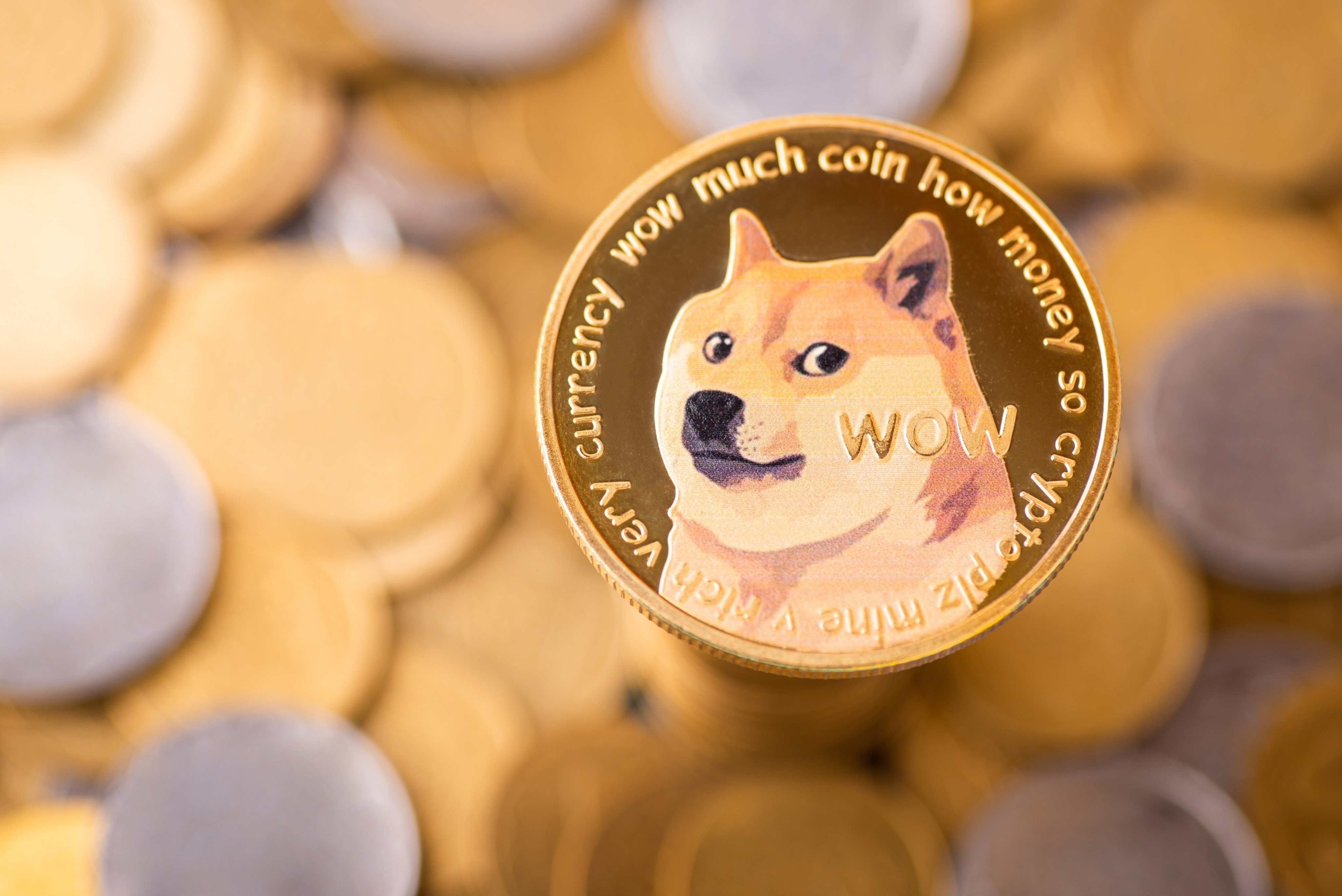 Dogecoin was seen as a joke at first, but has since amassed a group of fans who have periodically sent its price soaring. Photo: Shutterstock