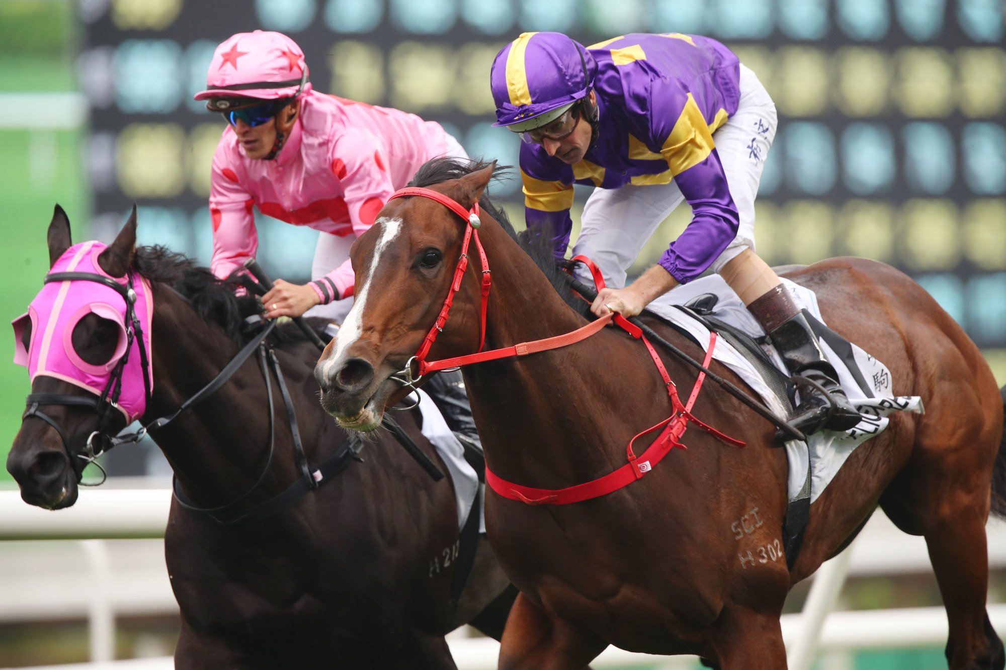 Hugh Bowman guides Helios Express (right) to victory in the Classic Cup.