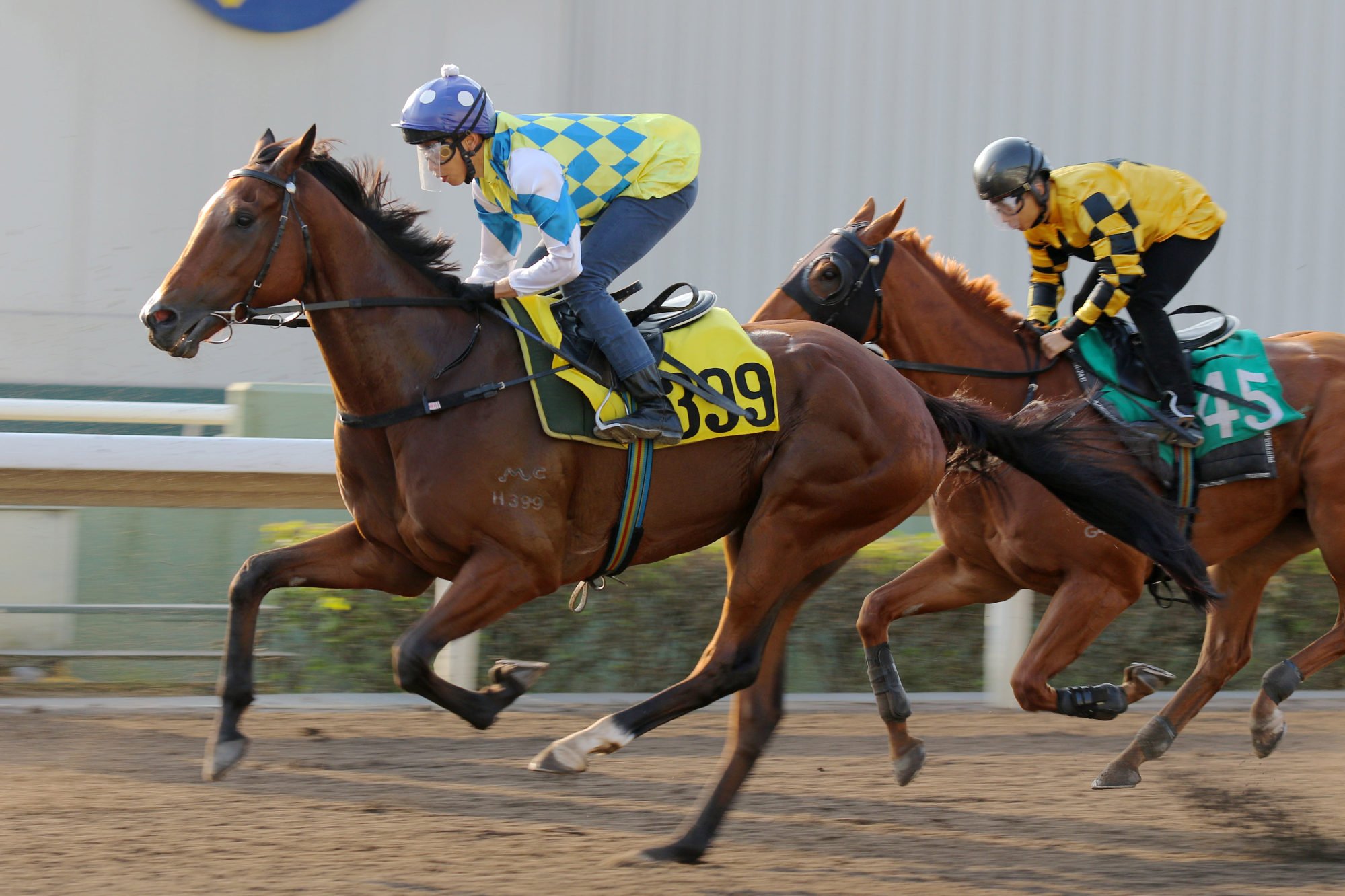 Galaxy Patch in action in a dirt trial on November 7.