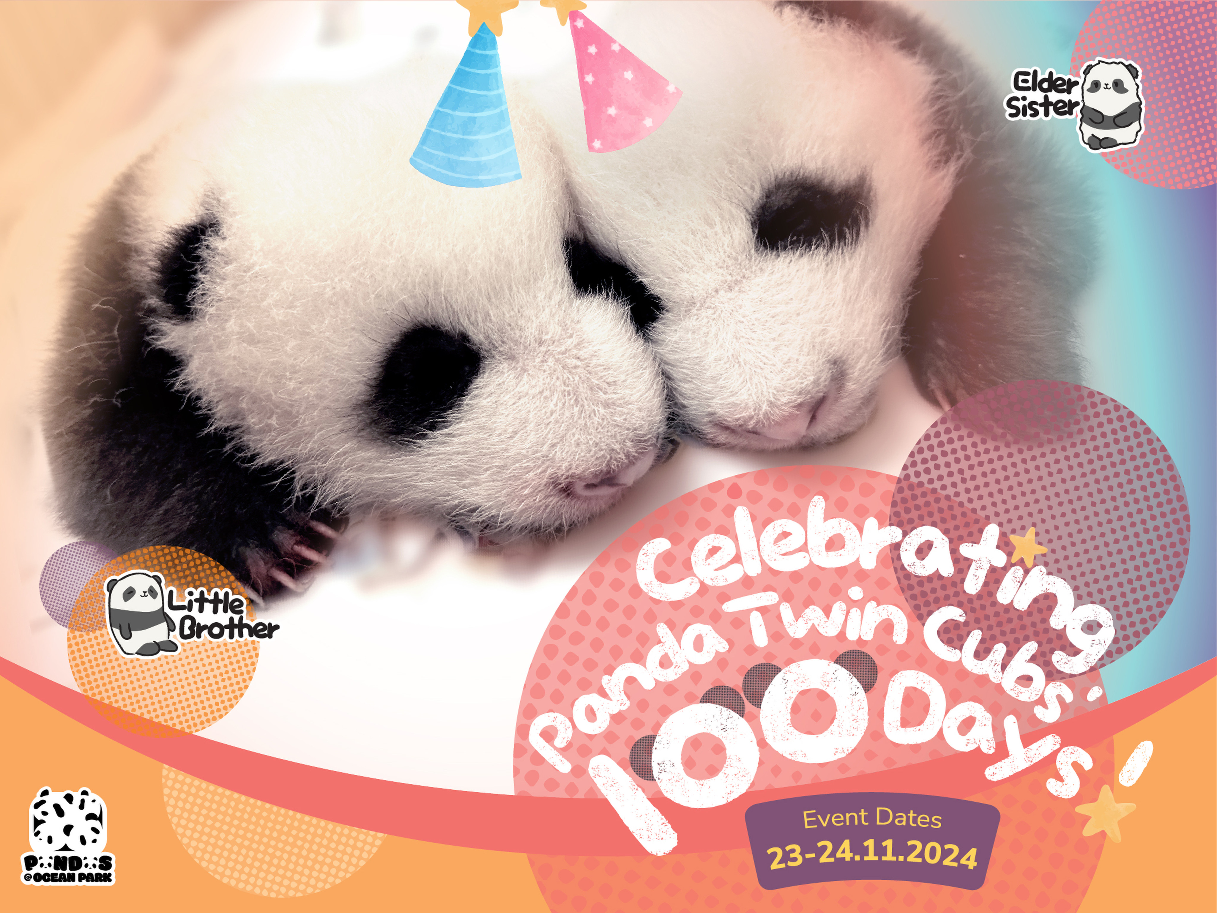 Ocean Park will roll out new merchandise and give out free food on November 23 and 24 to celebrate the 100th day of Hong Kong’s twin cubs. Photo: Ocean Park