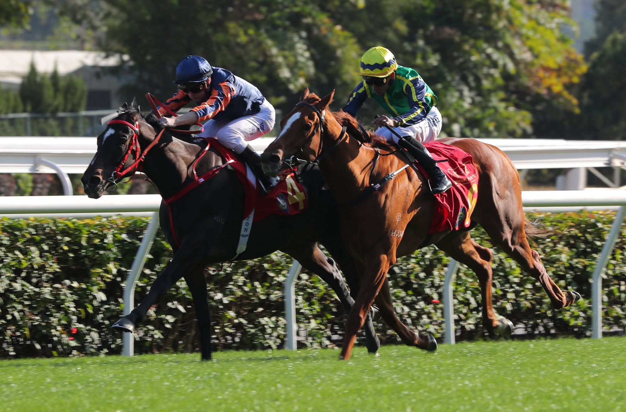 Red Lion gets up on the inside to win the Chinese New Year Cup in February.