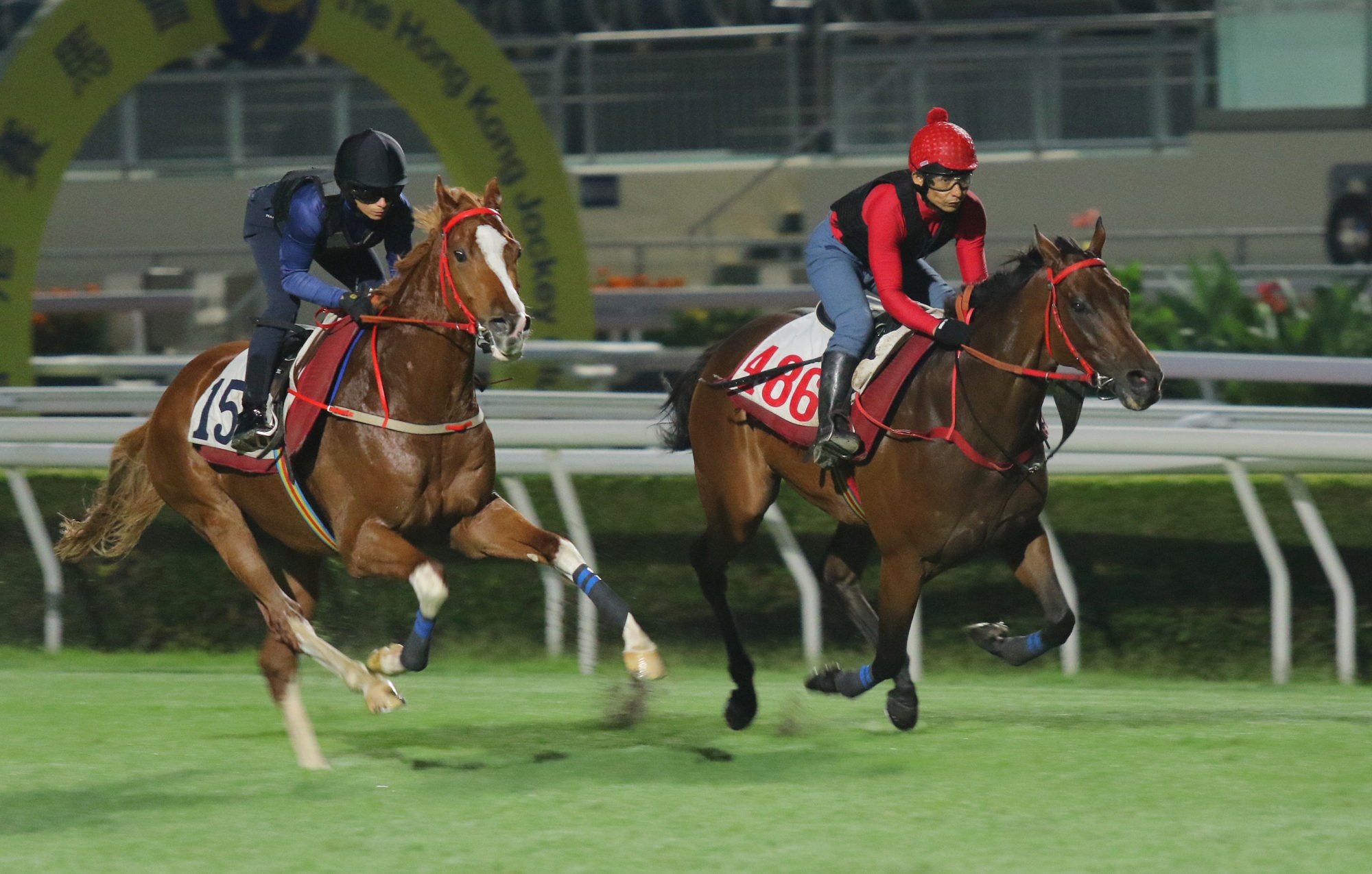 Romantic Warrior (right) gallops on the Sha Tin turf on Tuesday morning.