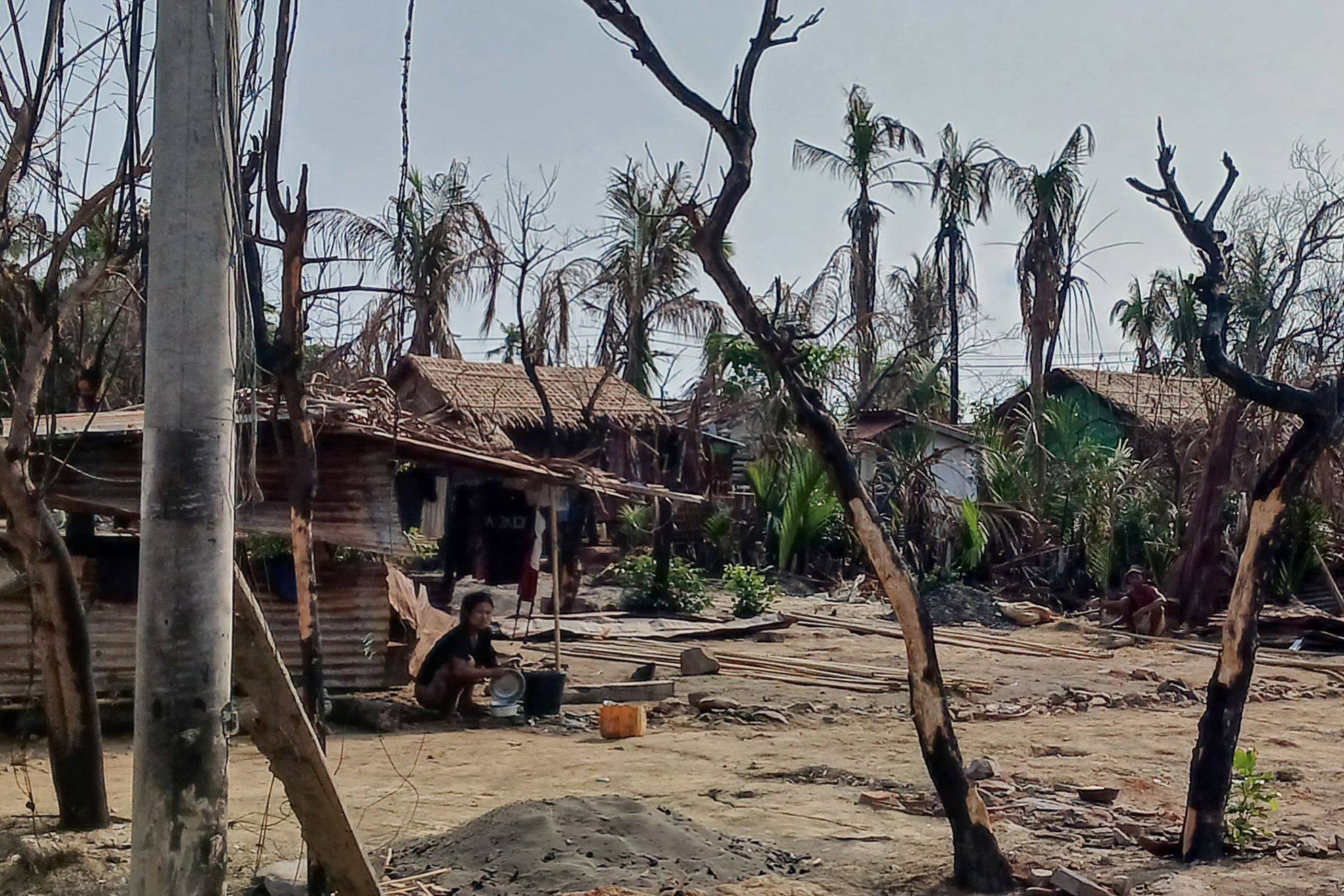 A woman cooks next to destroyed houses and burned trees in western Rakhine State following fighting between Myanmar’s military and the Arakan Army. Photo: AFP