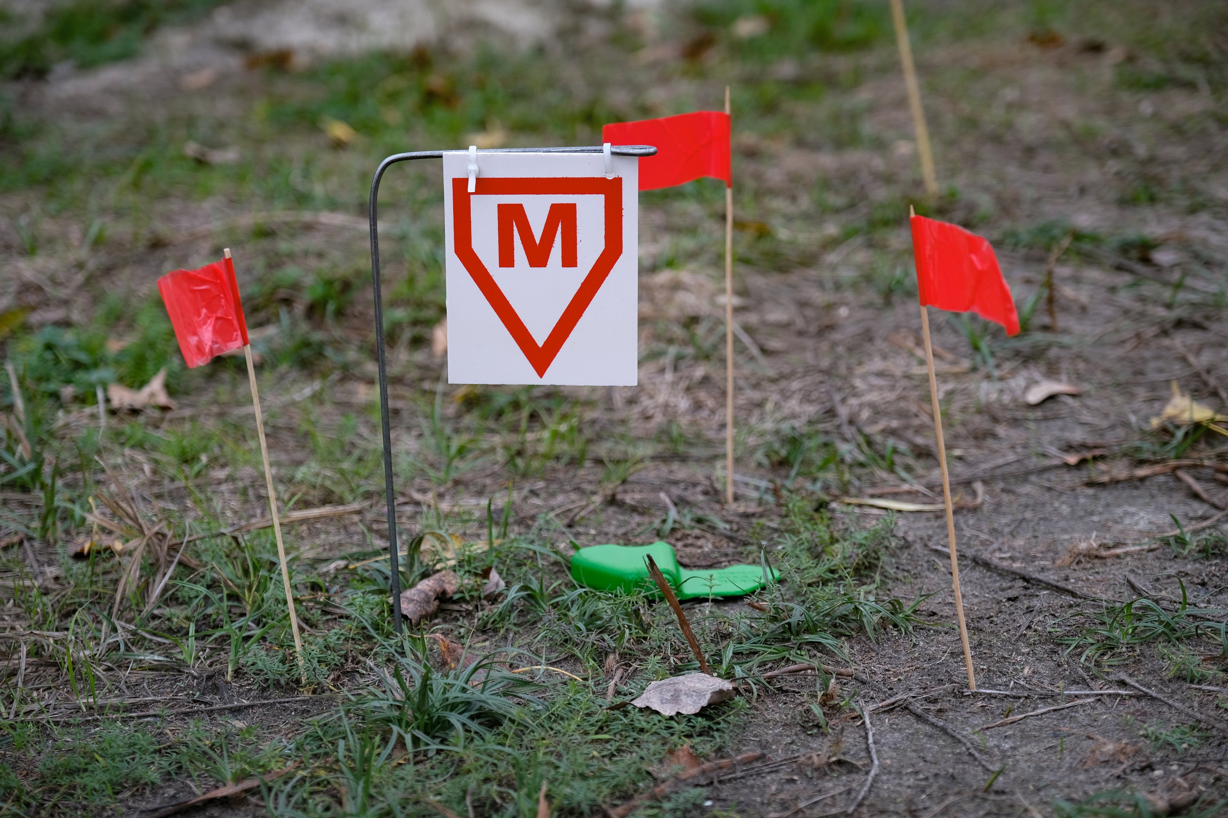 Flags signalling landmines on a demining training field at the Ukrainian Ministry of Defence training center in the Chernihiv region, Ukraine, on November 1. Photo: EPA-EFE