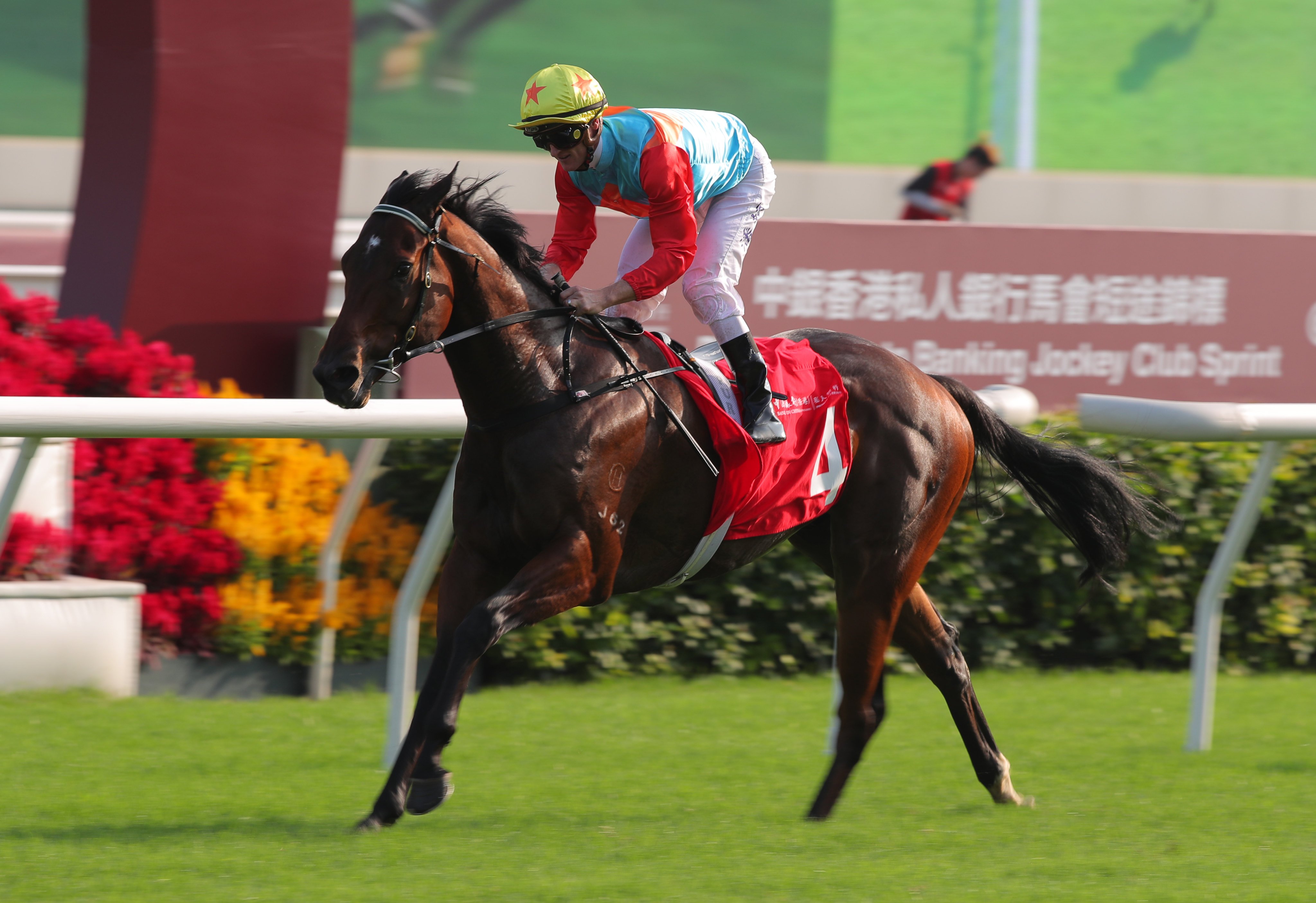 Ka Ying Rising coasts to victory under Zac Purton at Sha Tin on Sunday. Photo: Kenneth Chan