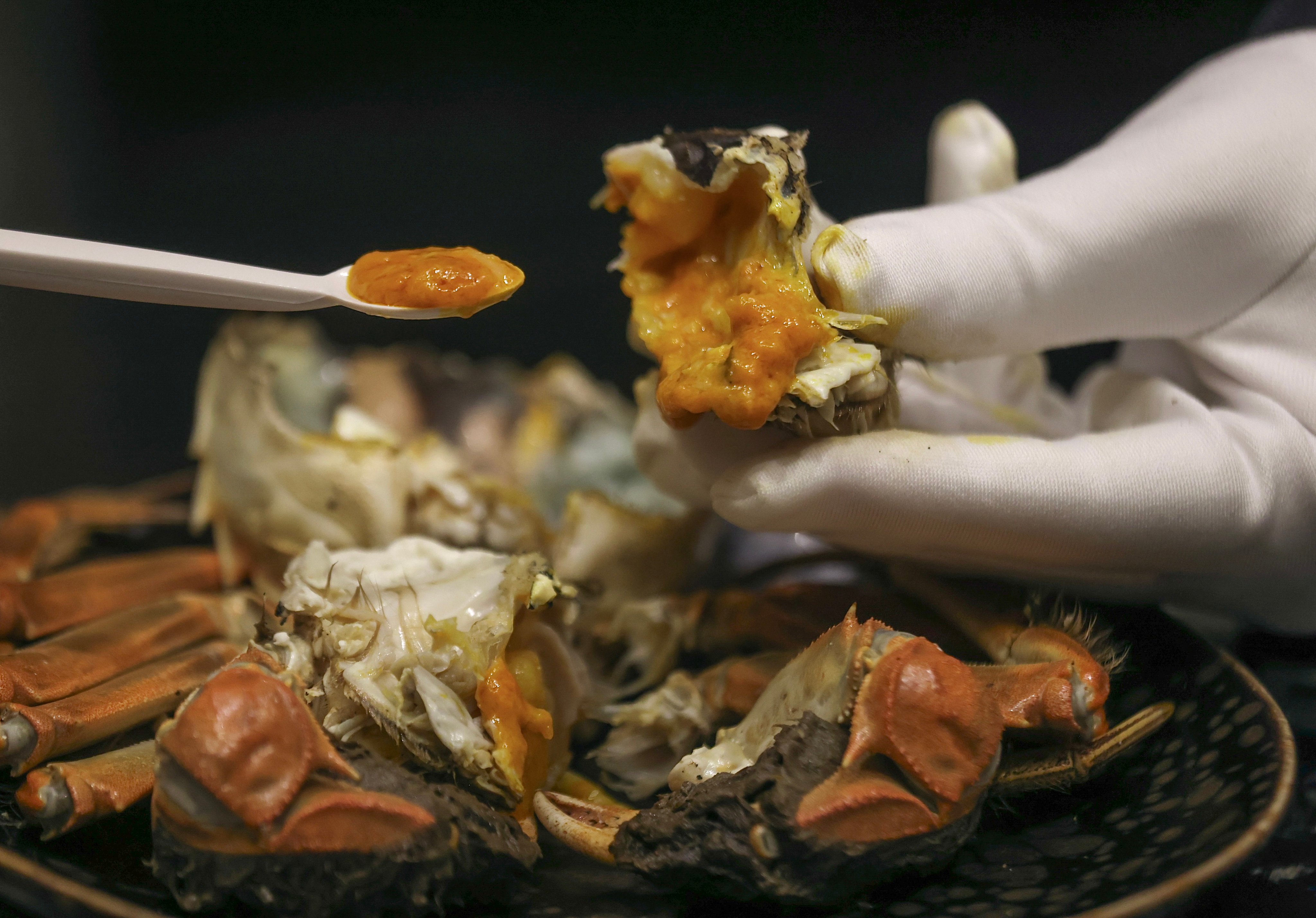 Hairy crab at Mott 32. Photo: Jonathan Wong