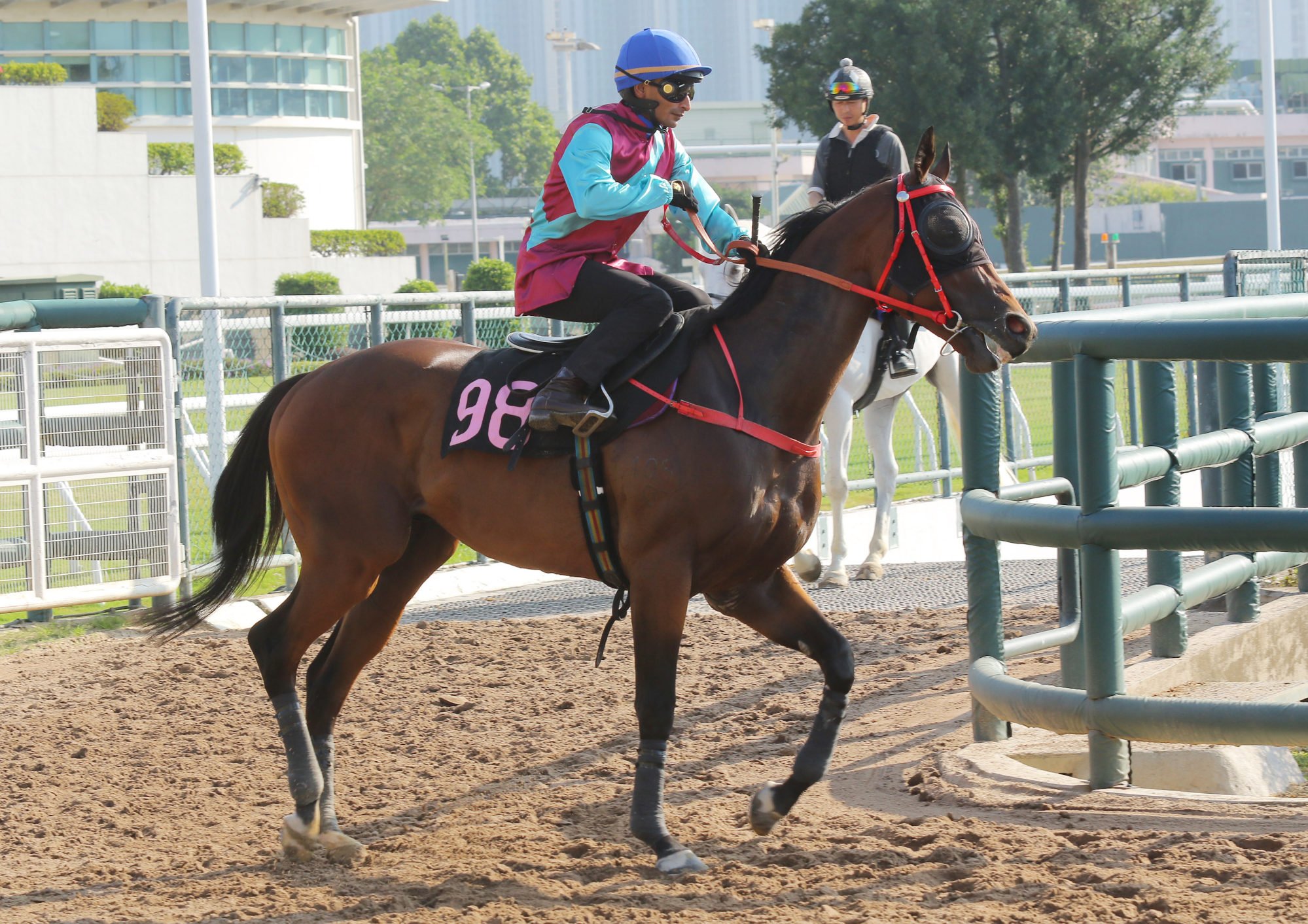 Karis Teetan aboard Take Action at the Sha Tin trials.