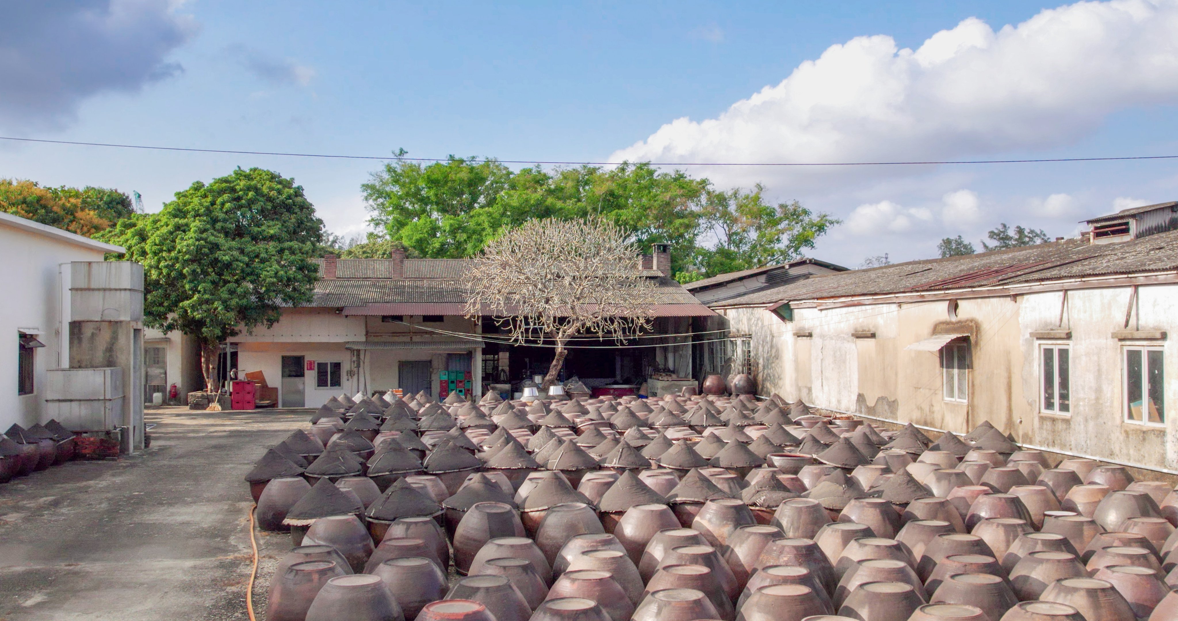 The Kwong Tak Loong soy sauce factory in Kwu Tung, Hong Kong. Photo: still from Cha Guo