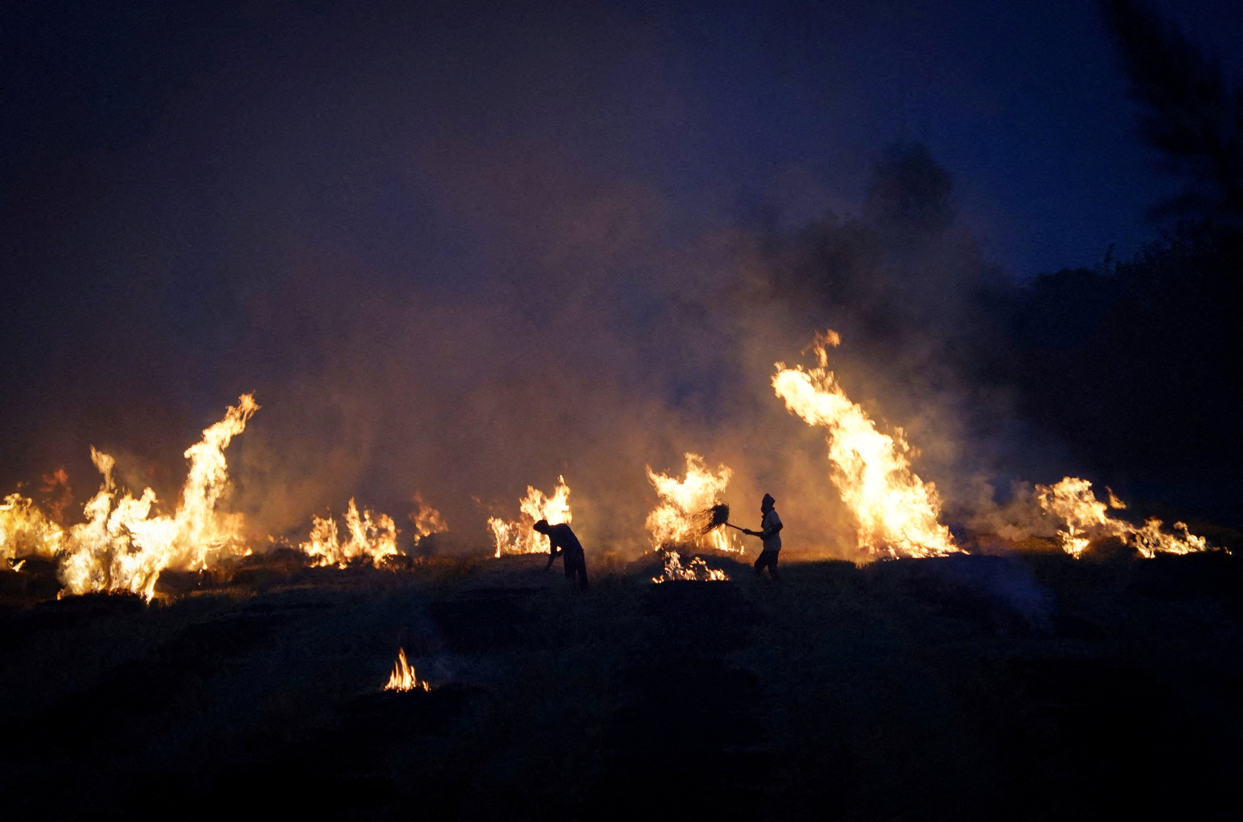 Farmers burn stubble in a rice field in the northern state of Haryana, India, on October 21. Photo: Reuters