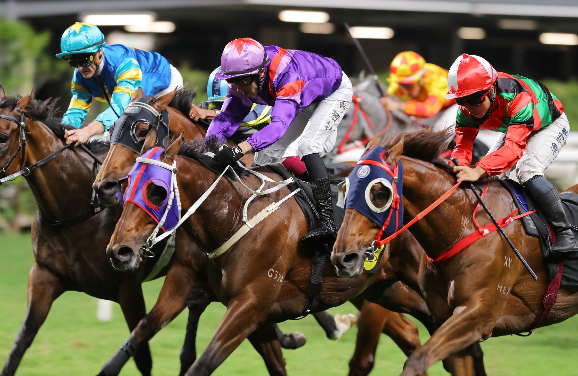 Can’t Go Wong (outside) runs second to D Star at Happy Valley.