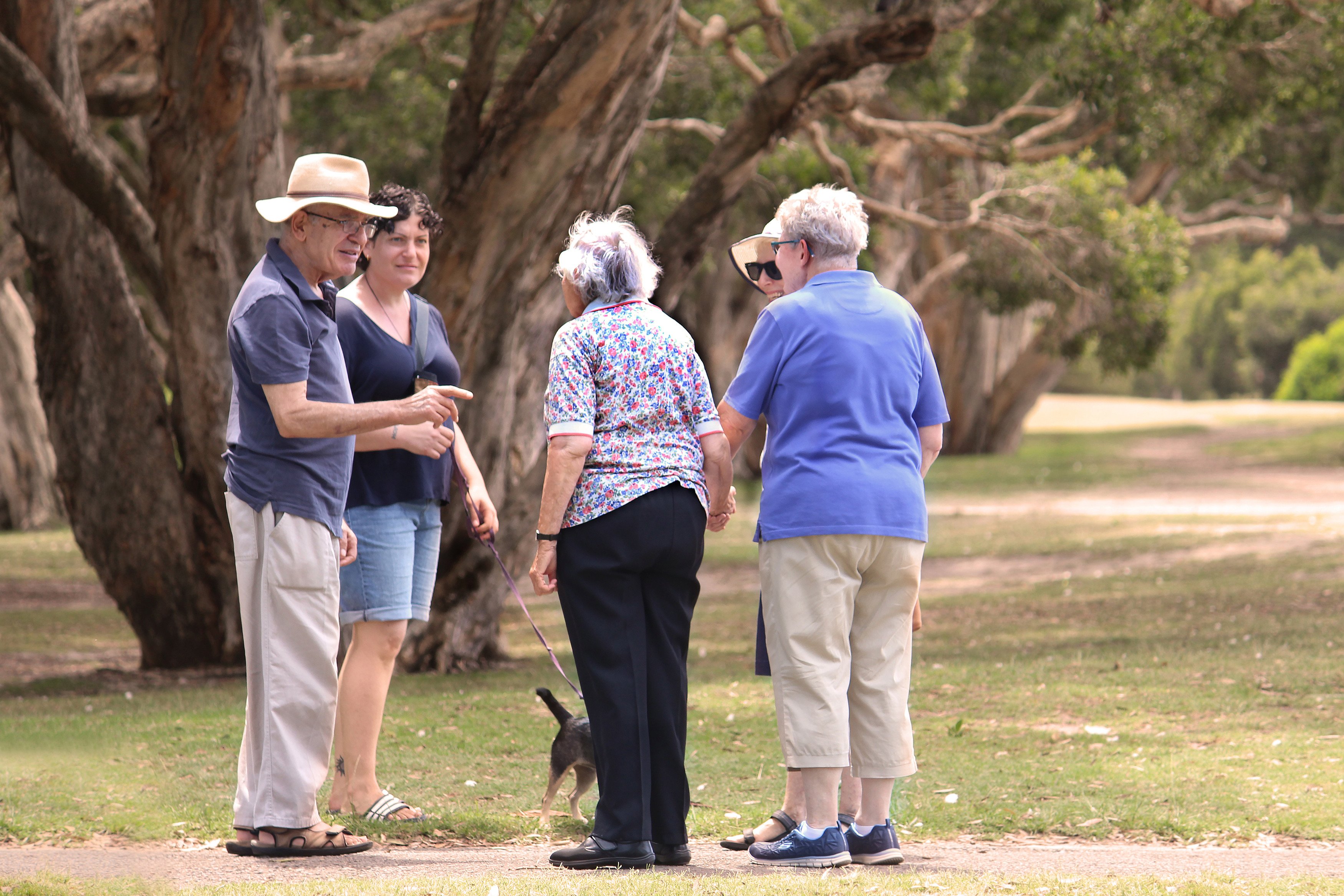 Elderly people chat in a Sydney park. An estimated 2.5 million Australians will retire over the next decade. Photo: Shutterstock