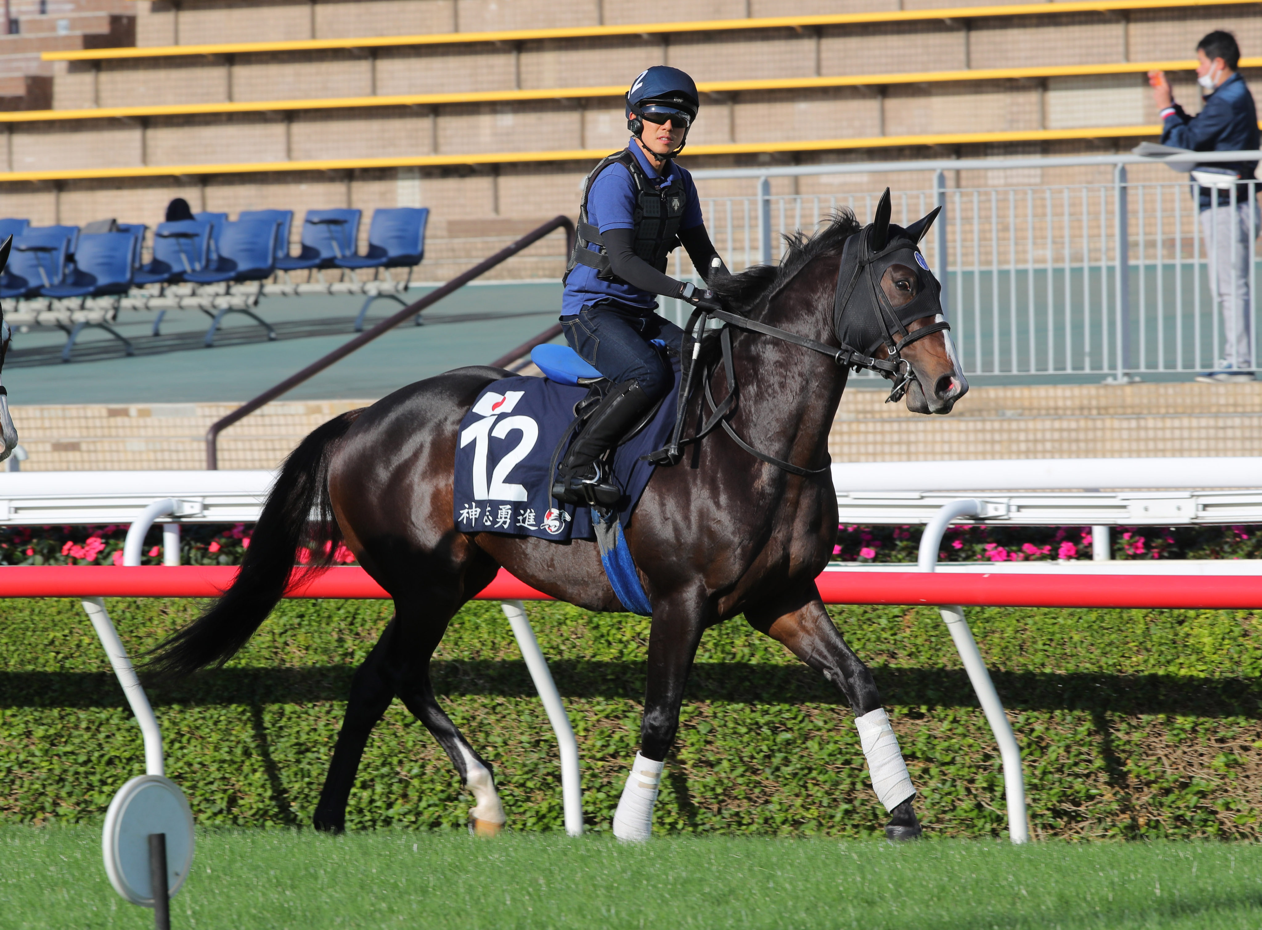 Soul Rush, pictured at Sha Tin trackwork last year, returns for a second tilt at the Hong Kong Mile. Photos: Kenneth Chan