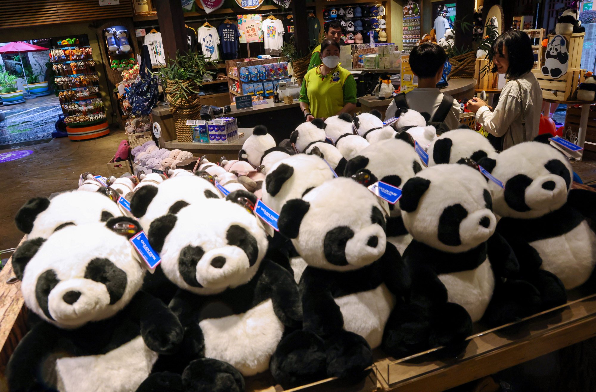 Hong Kong is hoping to get a panda economy running. Photo: Jelly Tse