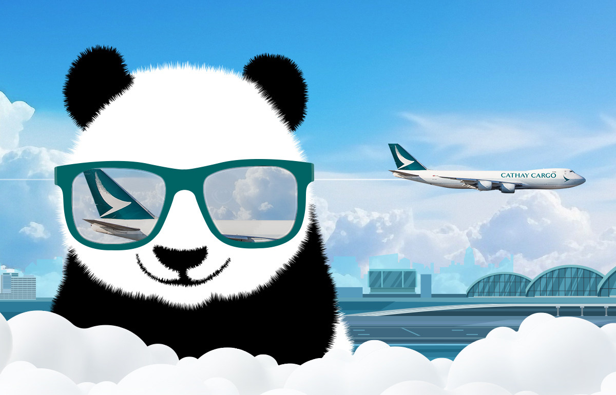 What does it take to help two Very Important Pandas relocate from Sichuan to Hong Kong? Cathay Cargo recently orchestrated the safe transport of a pair of giant pandas to the city from Chengdu – and no detail was too small.