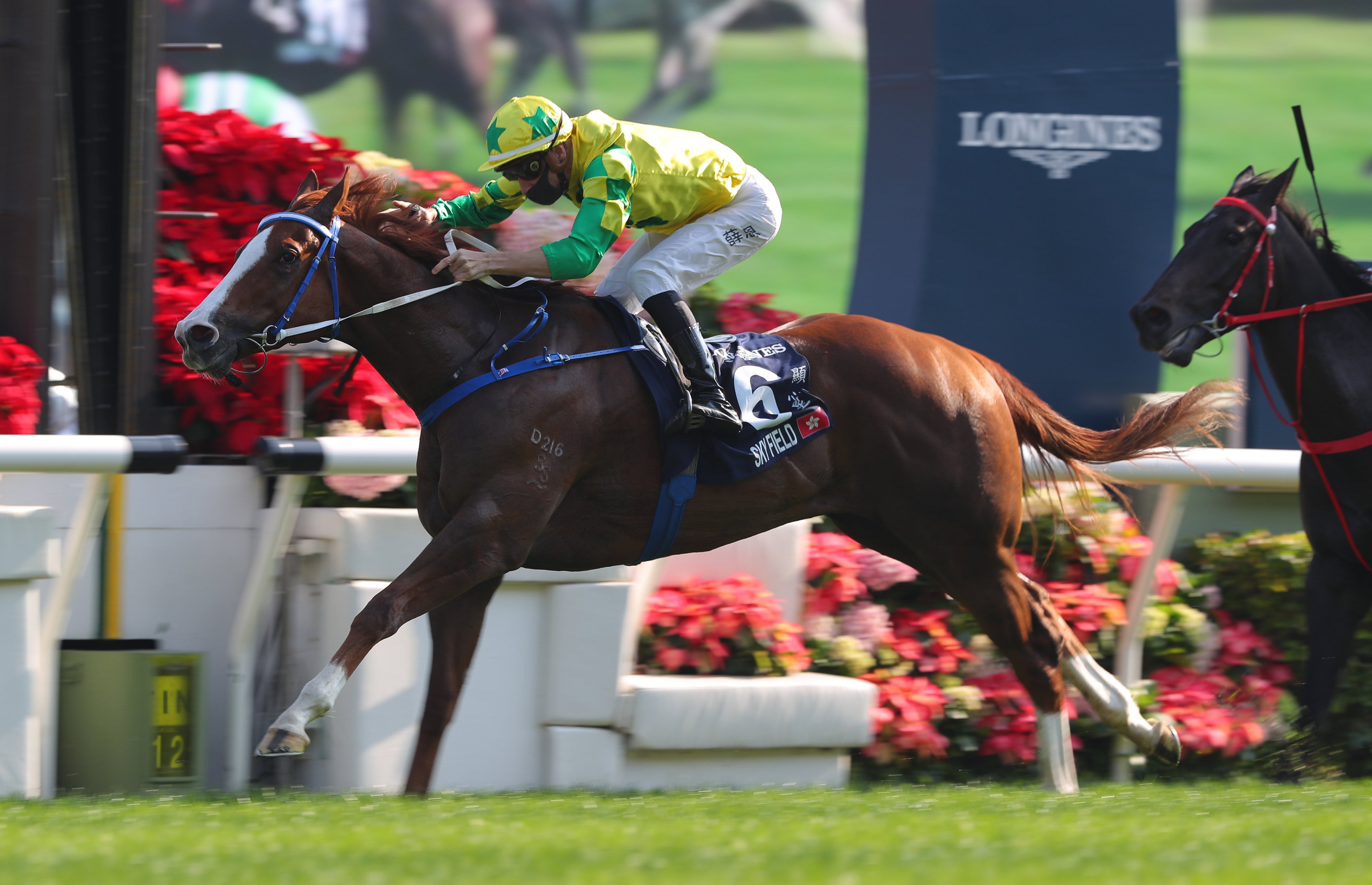 Blake Shinn wins the Group One Hong Kong Sprint (1,200m) aboard Sky Field. Photo: Kenneth Chan