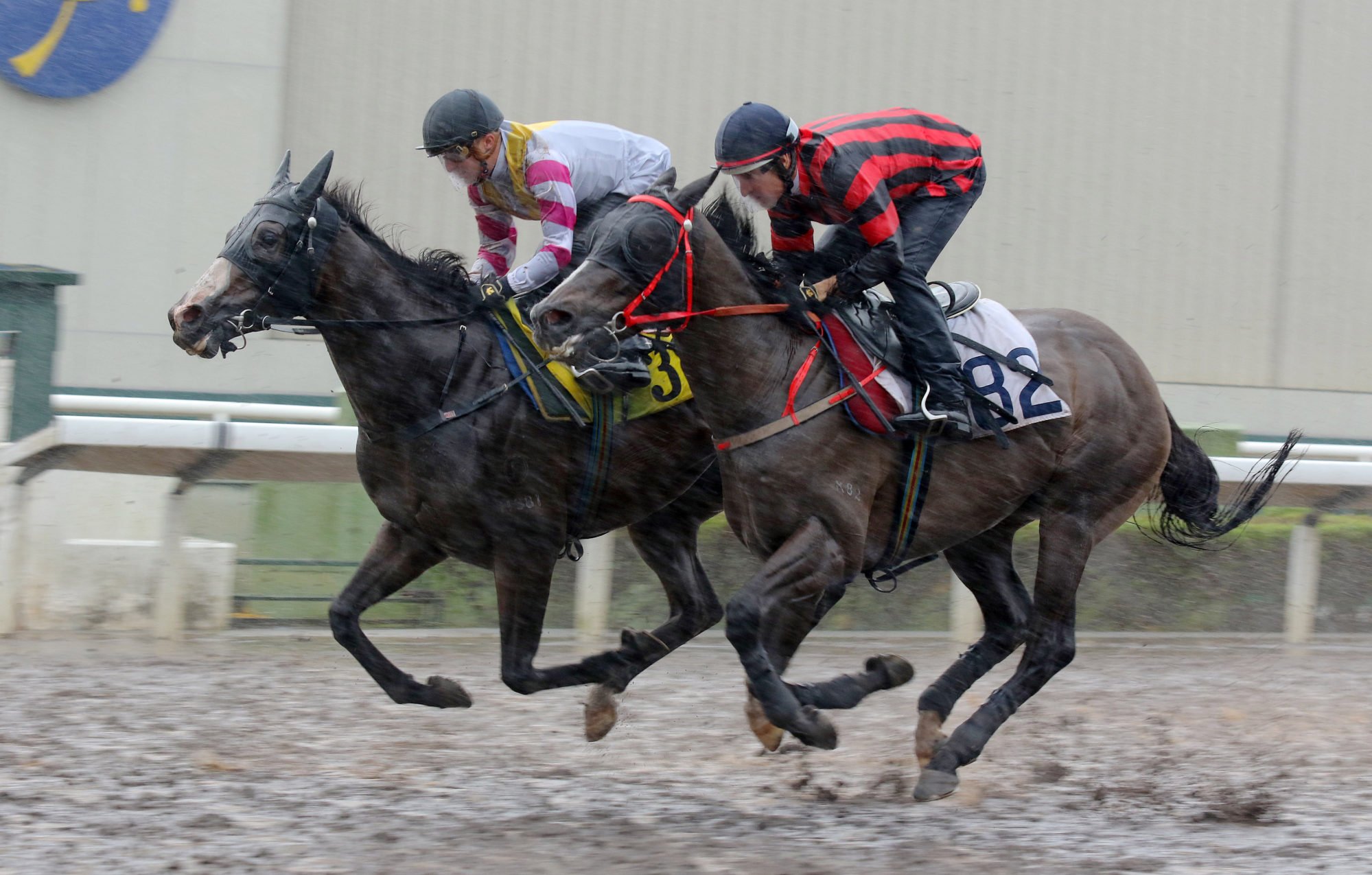 Mickley (outside) in a recent Sha Tin dirt trial.