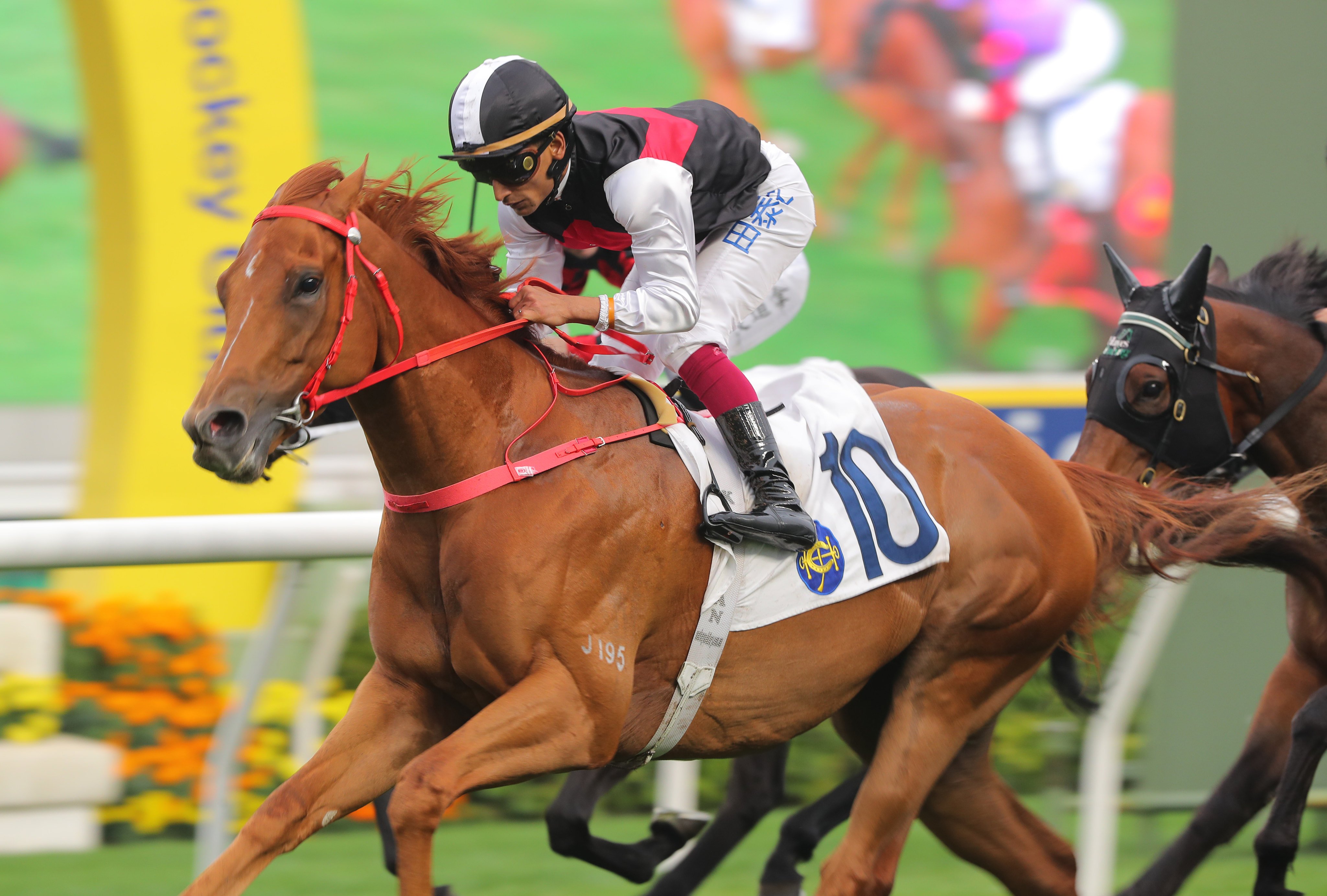 Young Champion powers to victory under Karis Teetan in March. Photos: Kenneth Chan