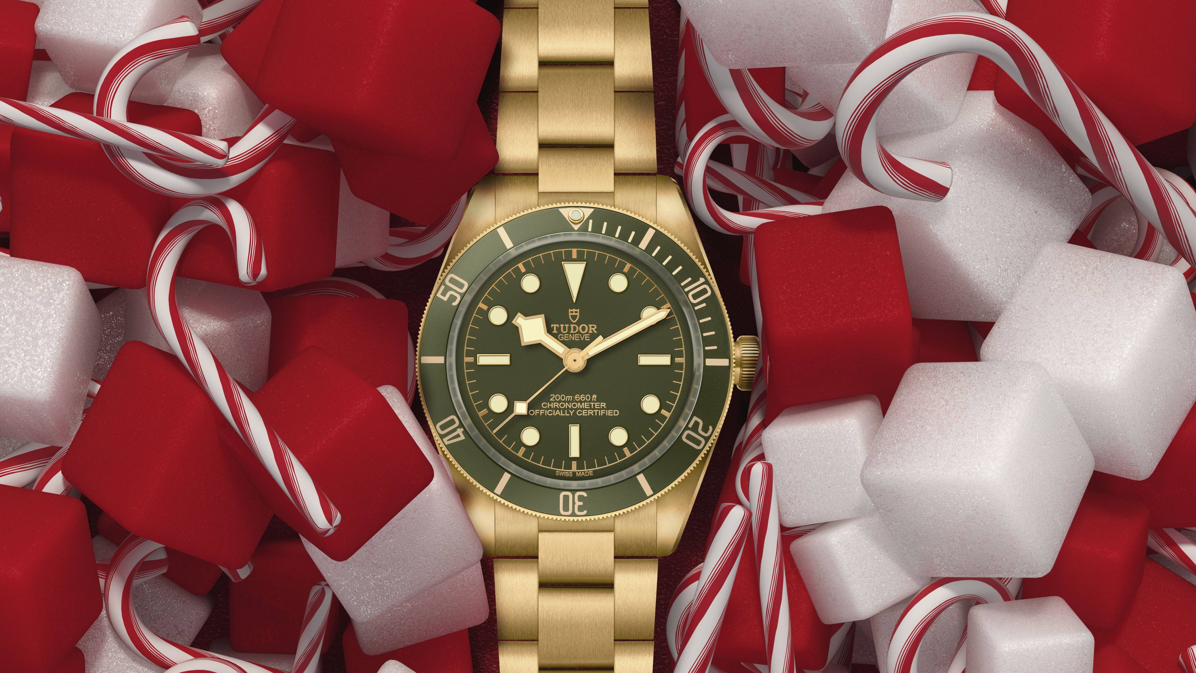 The Tudor Black Bay 18K. Photo: Handout