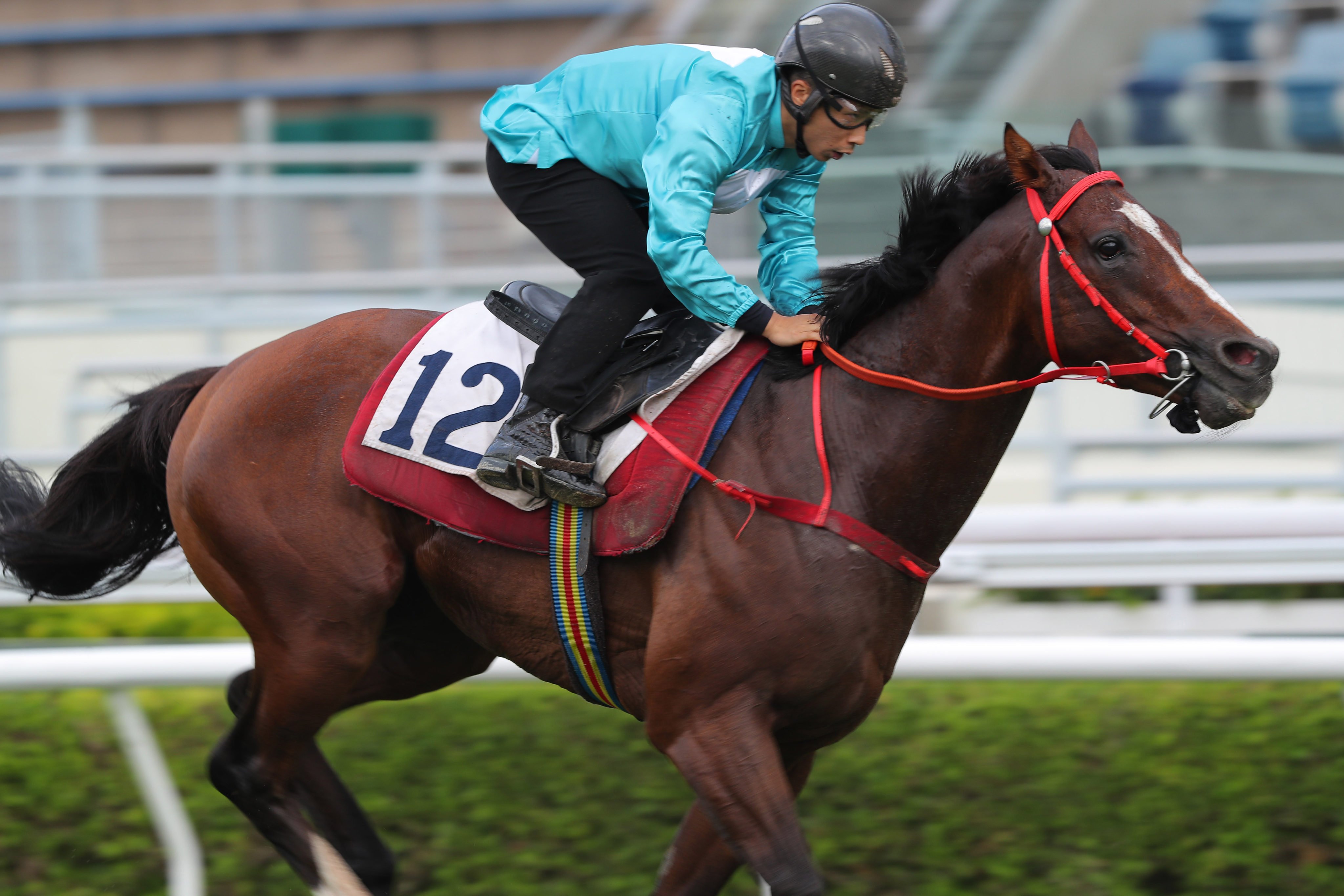 Romantic Thor trials at Sha Tin under Matthew Poon. Photos: Kenneth Chan