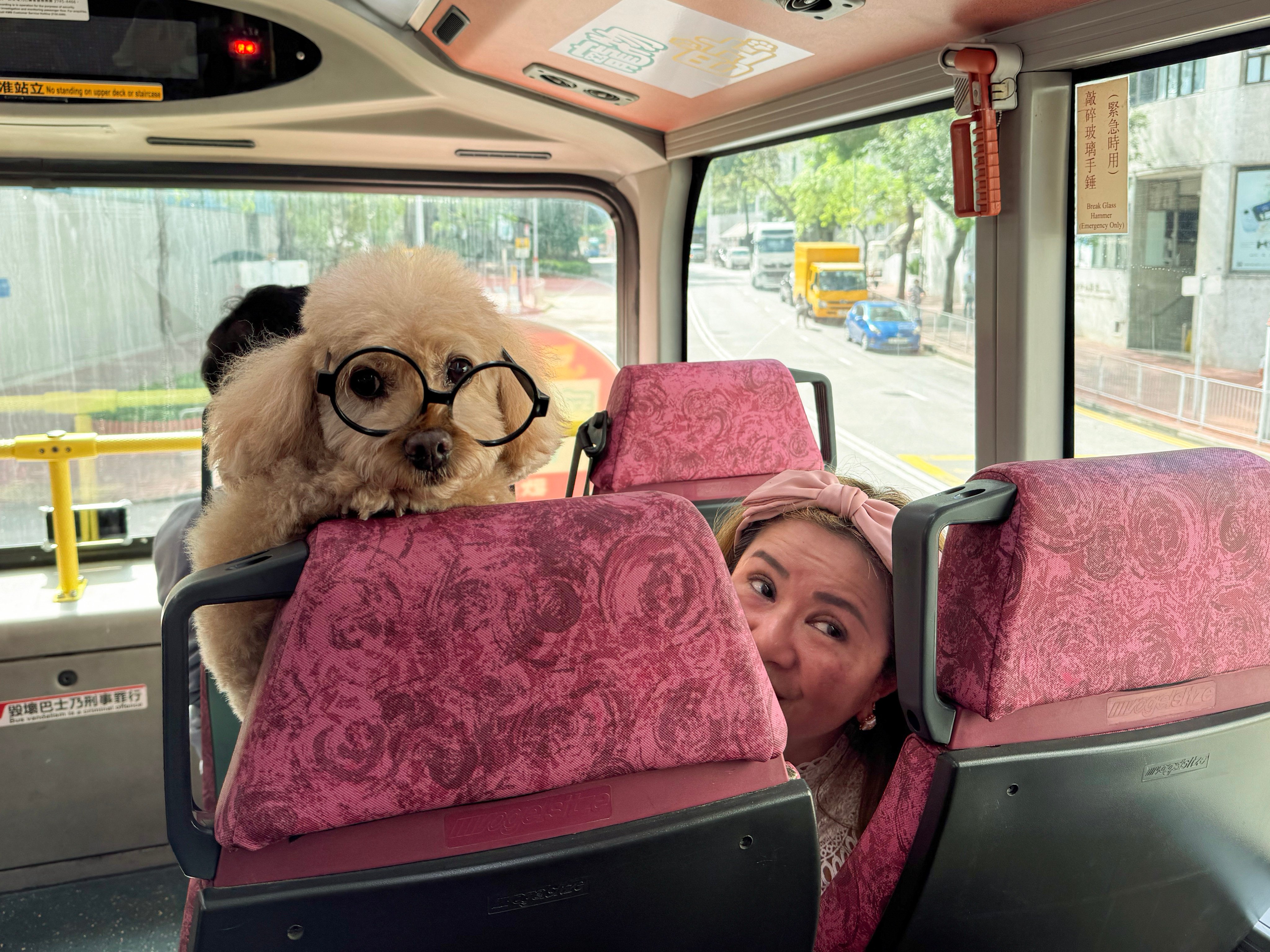 Cecily Wong, with 14-year-old Momo, on a pet-friendly KMB bus. Photo: Lo Hoi-ying