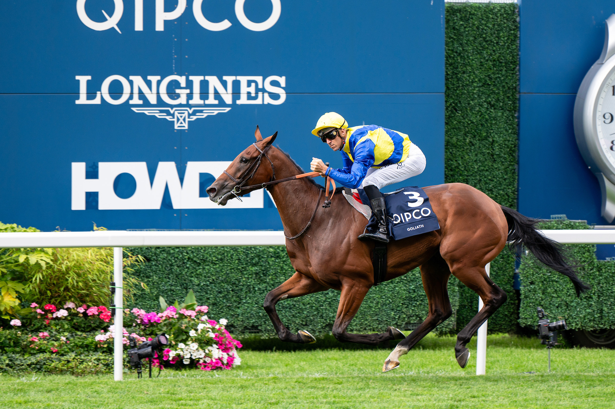 Goliath salutes at Ascot in July. Photo: HKJC