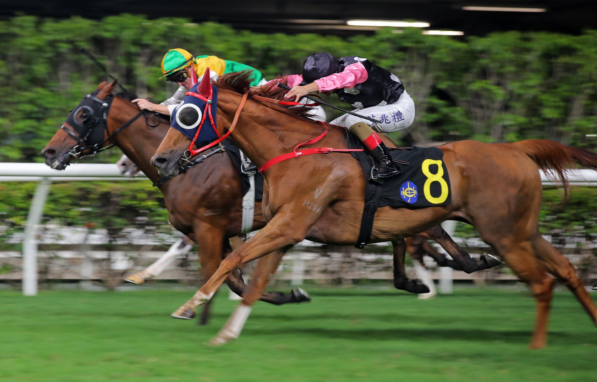 Beauty Destiny (outside) gets the better of Storming Dragon to win at the Valley.